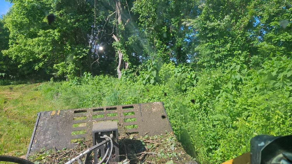 All Photos for B&B Land Management in Jamestown, TN