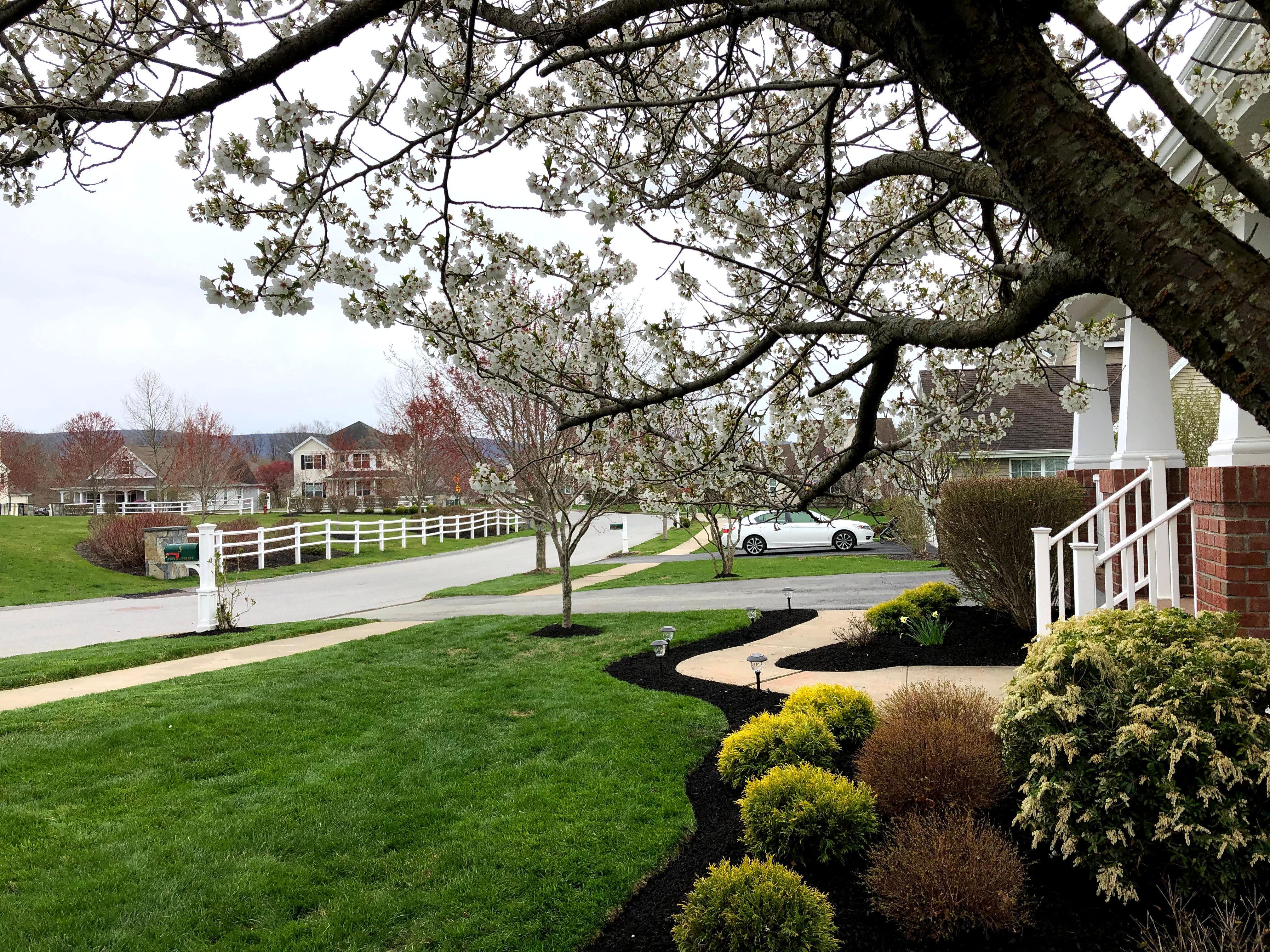  for Zaldivar’s Lawn Care INC  in Peekskill, NY