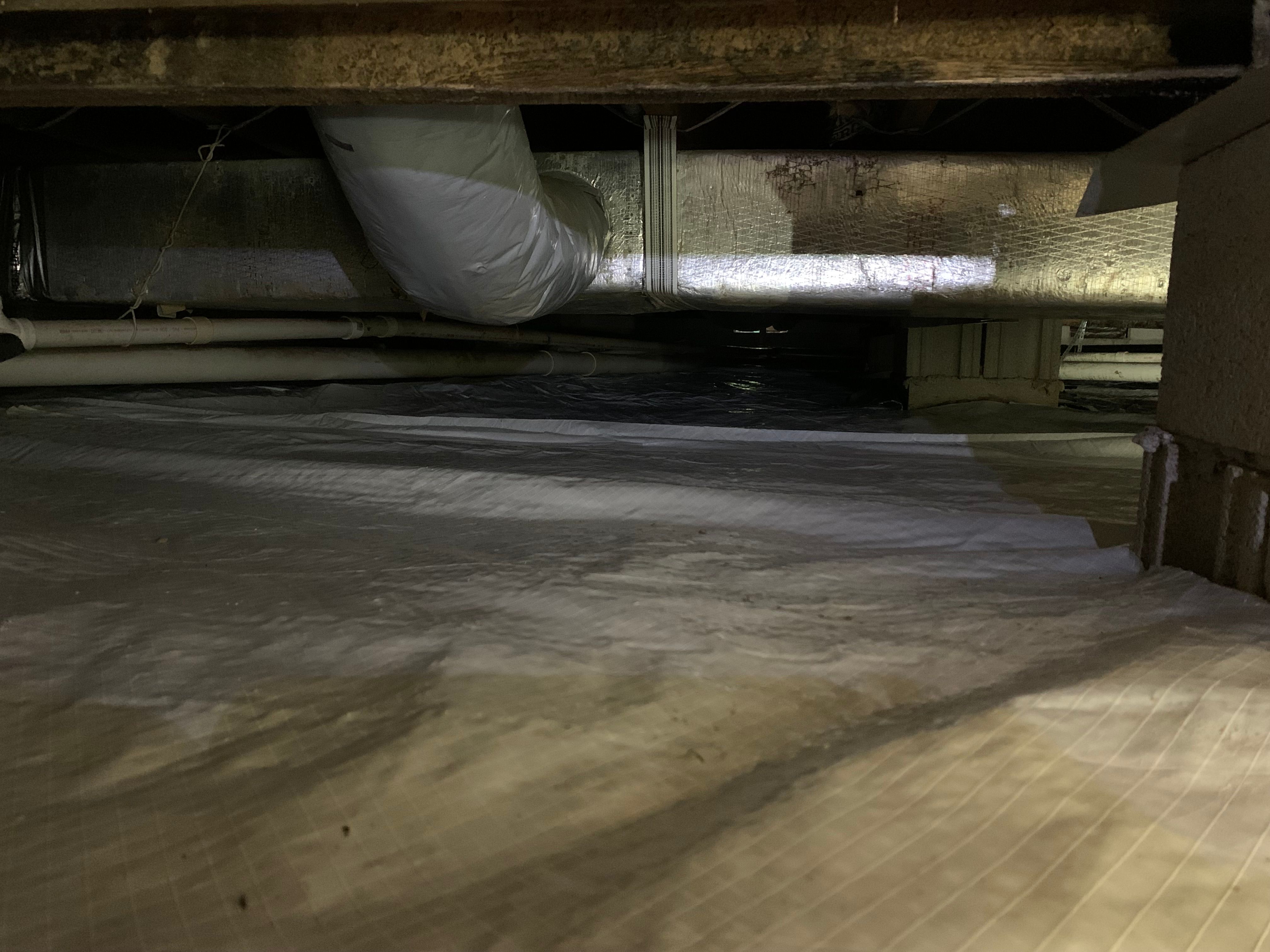  for All-In Pest Control & Home Solutions in Greene County, IN