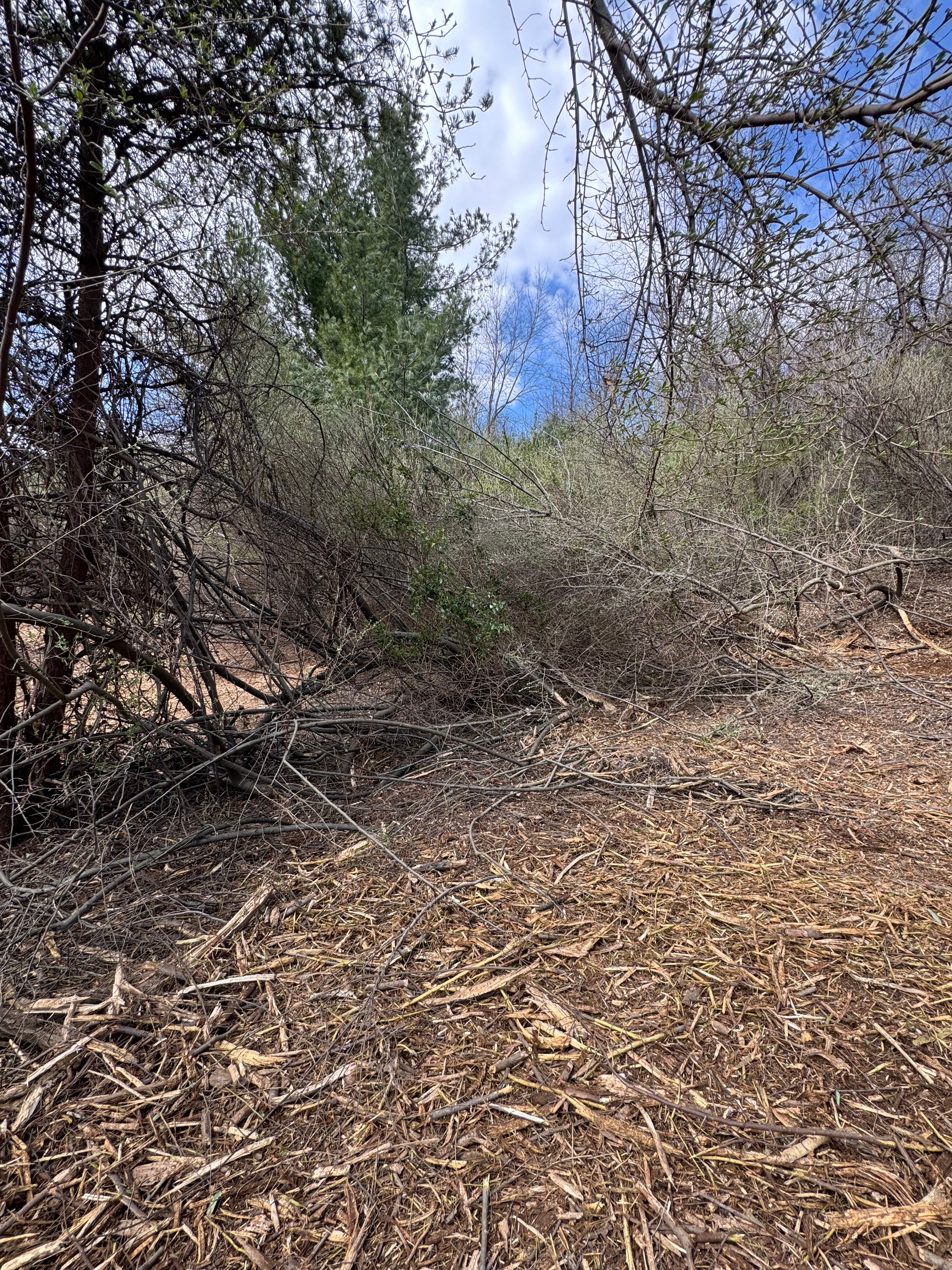  for Mountain Goat Land Management in Galax, VA