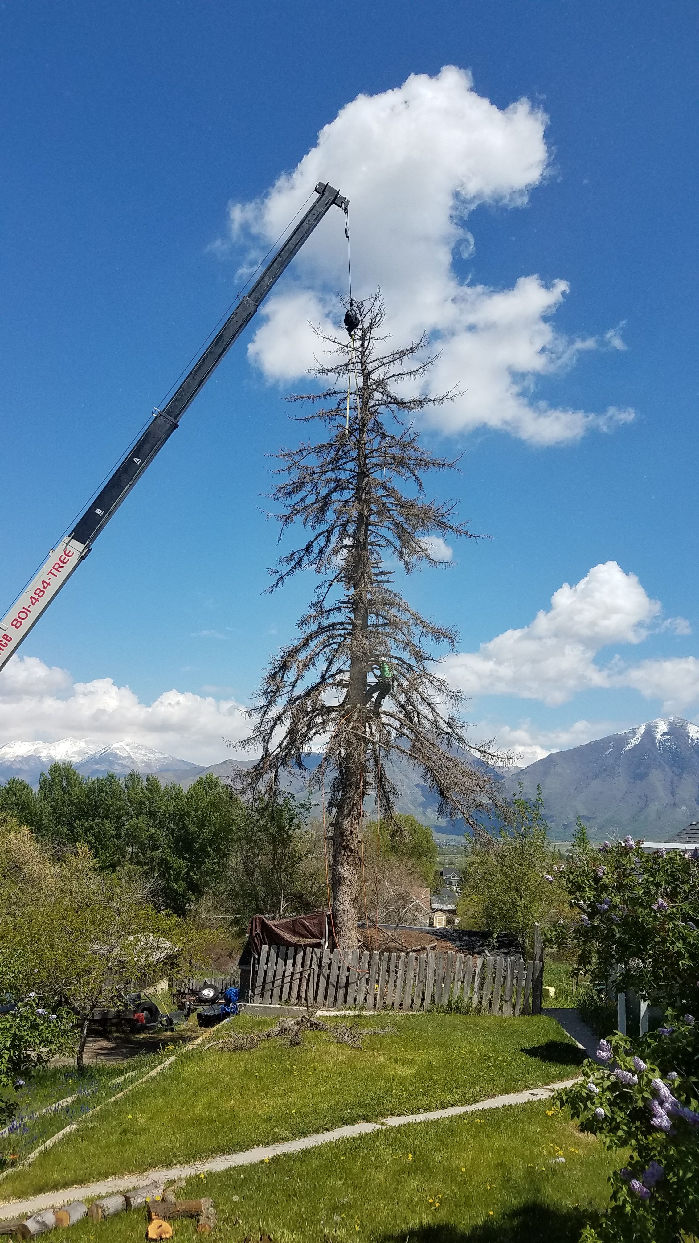  for Platinum Lawn Service in Santaquin, UT
