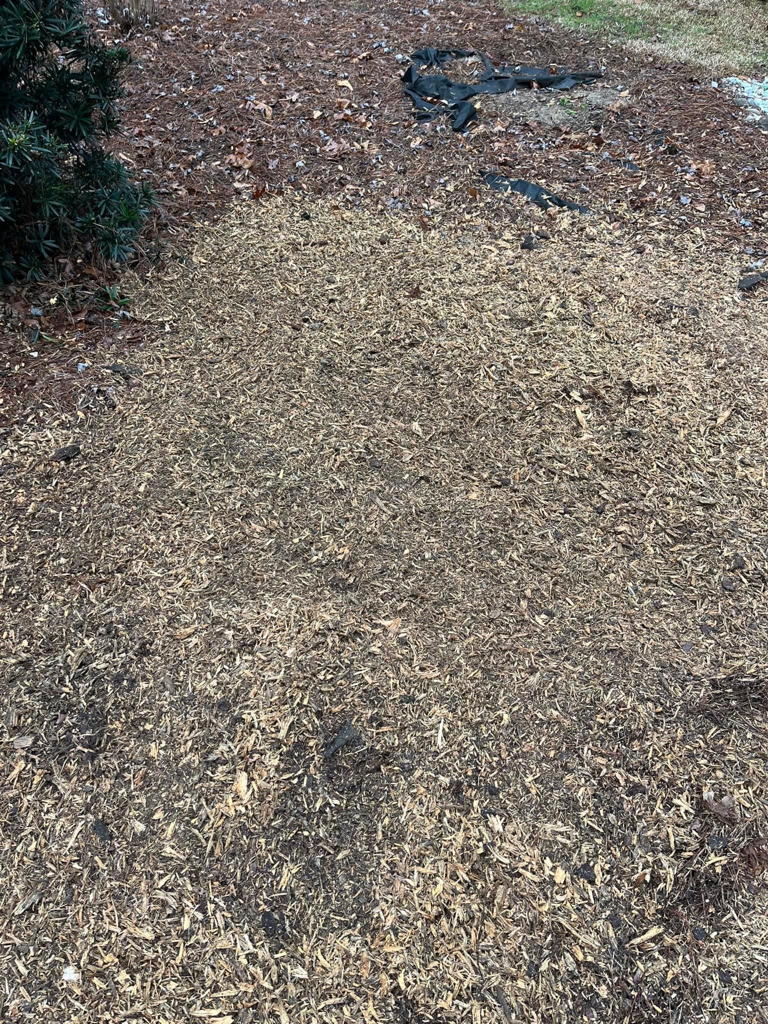  for Otis Lee Stump Grinding LLC in Elgin, SC