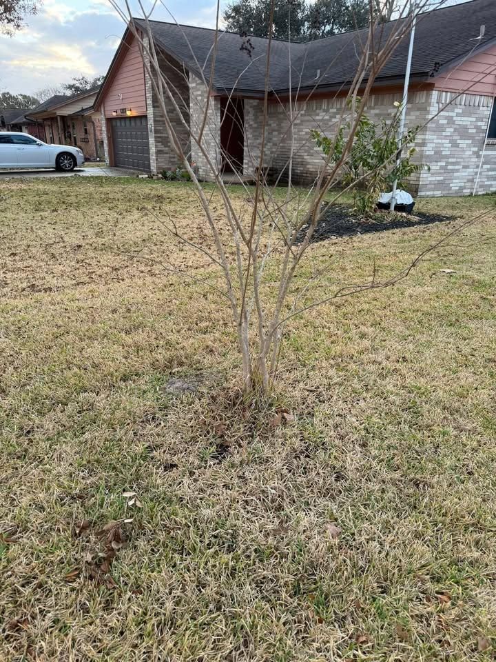  for Texas Curb N Borders in Houston, TX