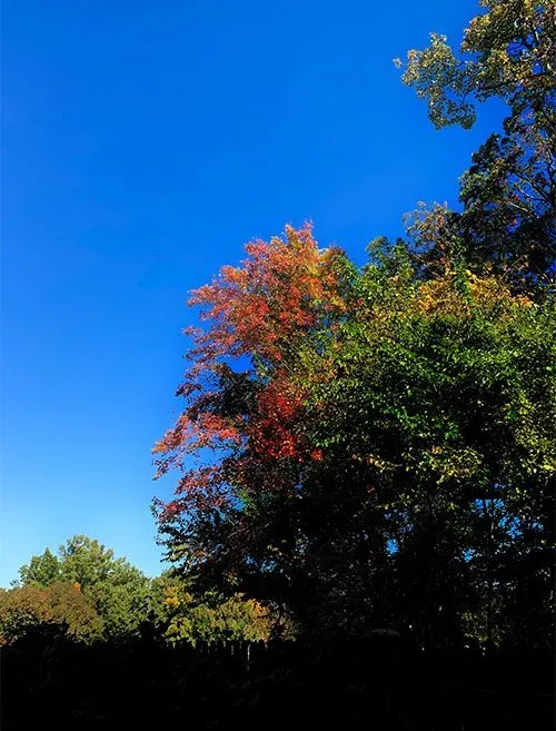  for R Merkli Inc. in Mount Vernon , VA