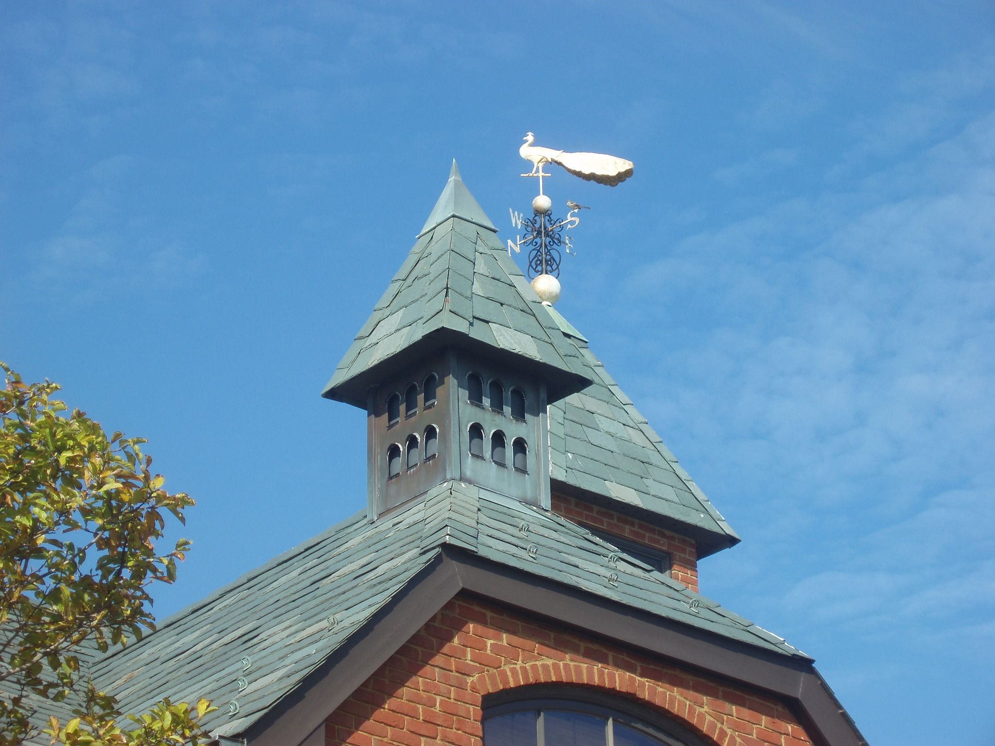 Roofing for CSK Roofing & Sheet Metal in Frenchtown, NJ