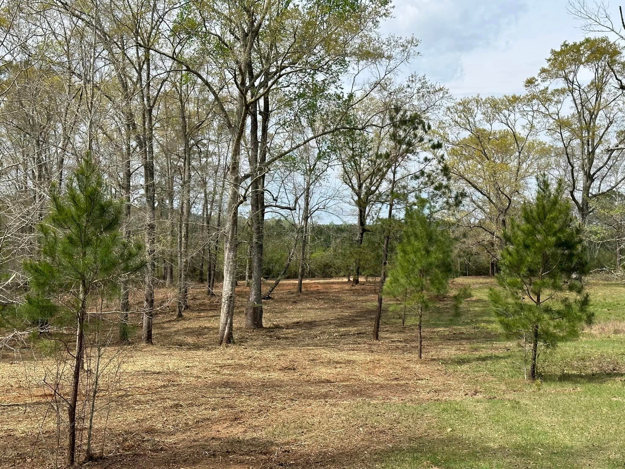 All Photos for White’s Land Maintenance in Milton,, FL