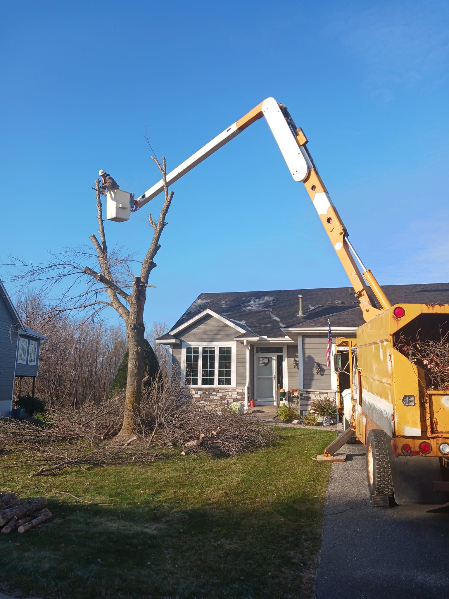 Tree Removal for Buffalo Family Tree Care in Buffalo, MN