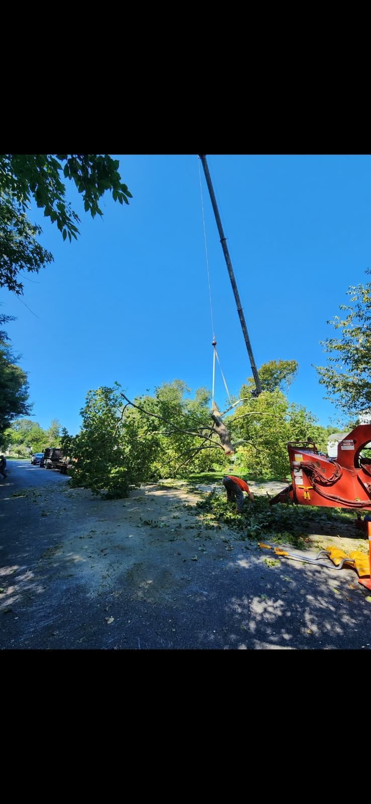  for Alexander's Tree Service  in Newburg,  MD