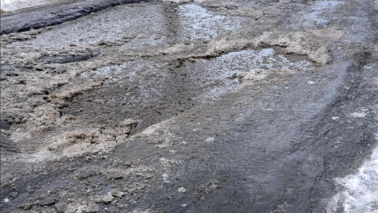  for Elite Sealing & Striping in Jackson, TN