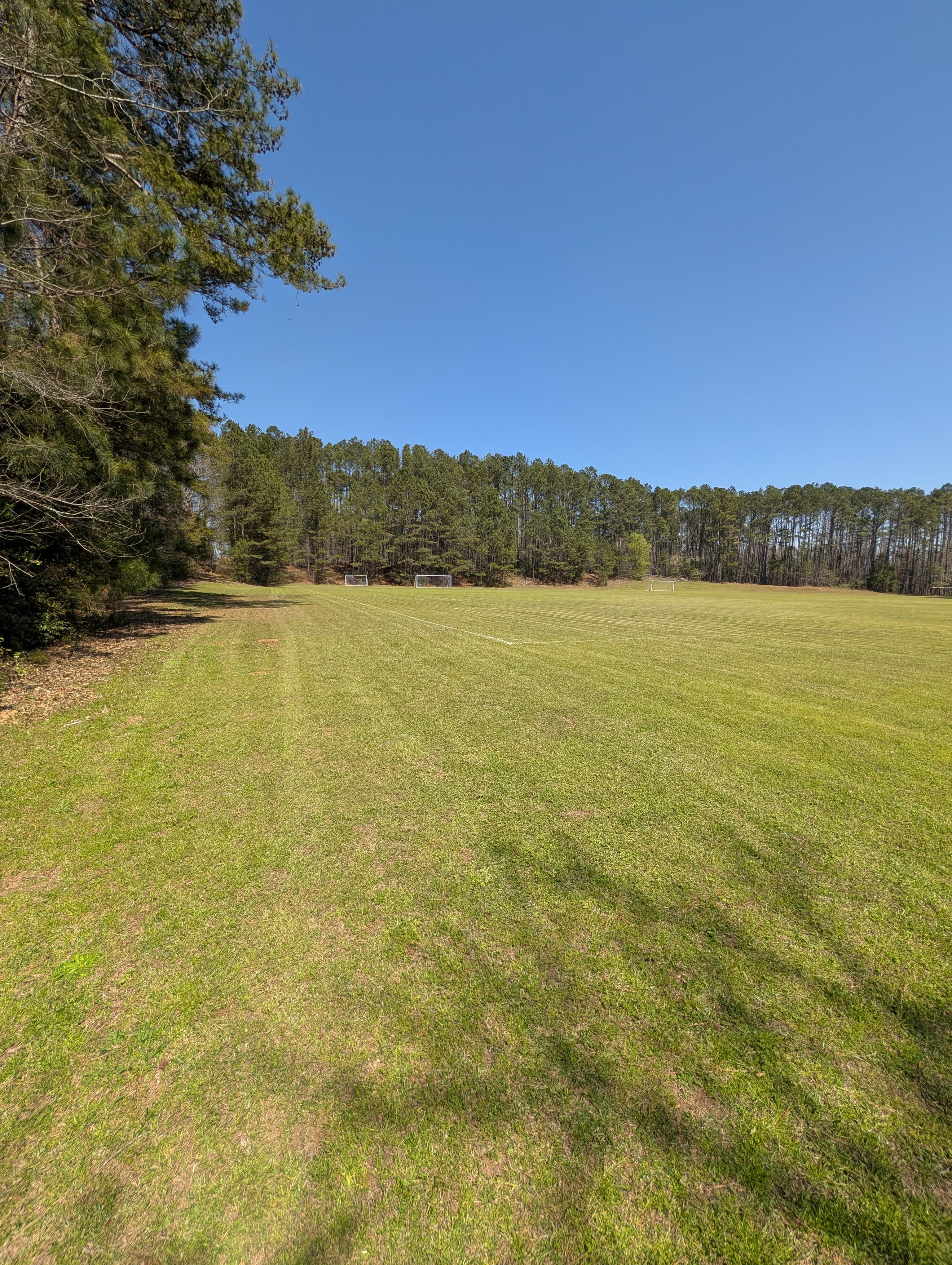 All Photos for Fantastic Lawn Care LLC in Fayetteville, GA