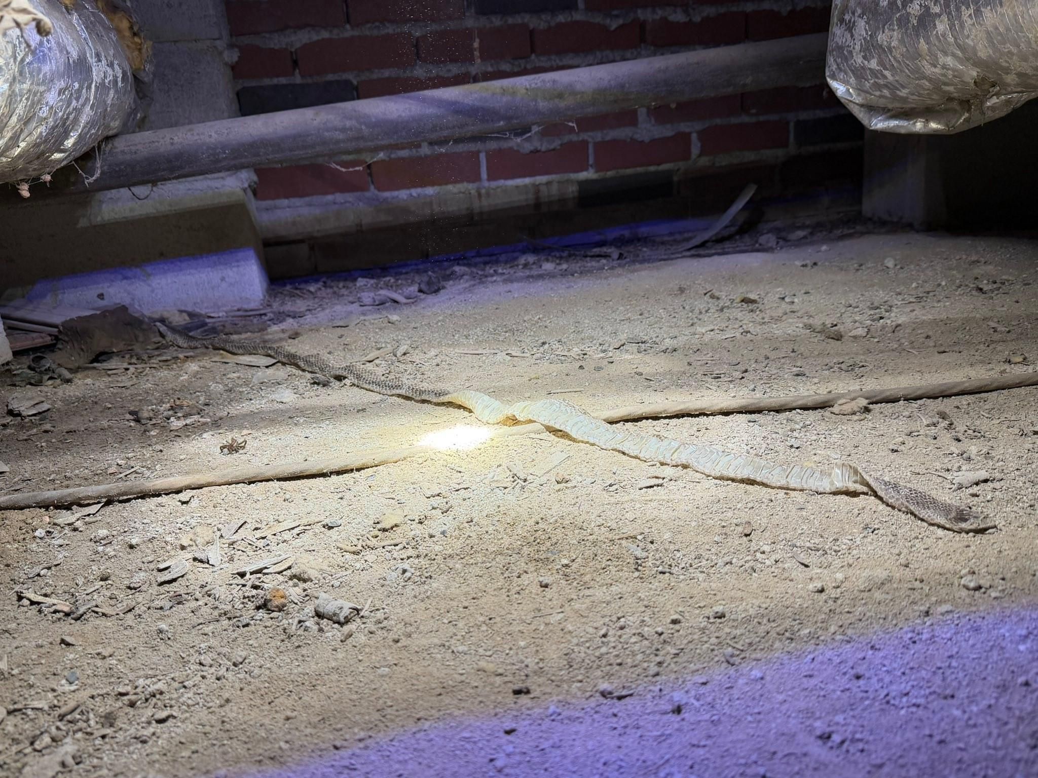  for VIP Plumbing in Cannon, GA