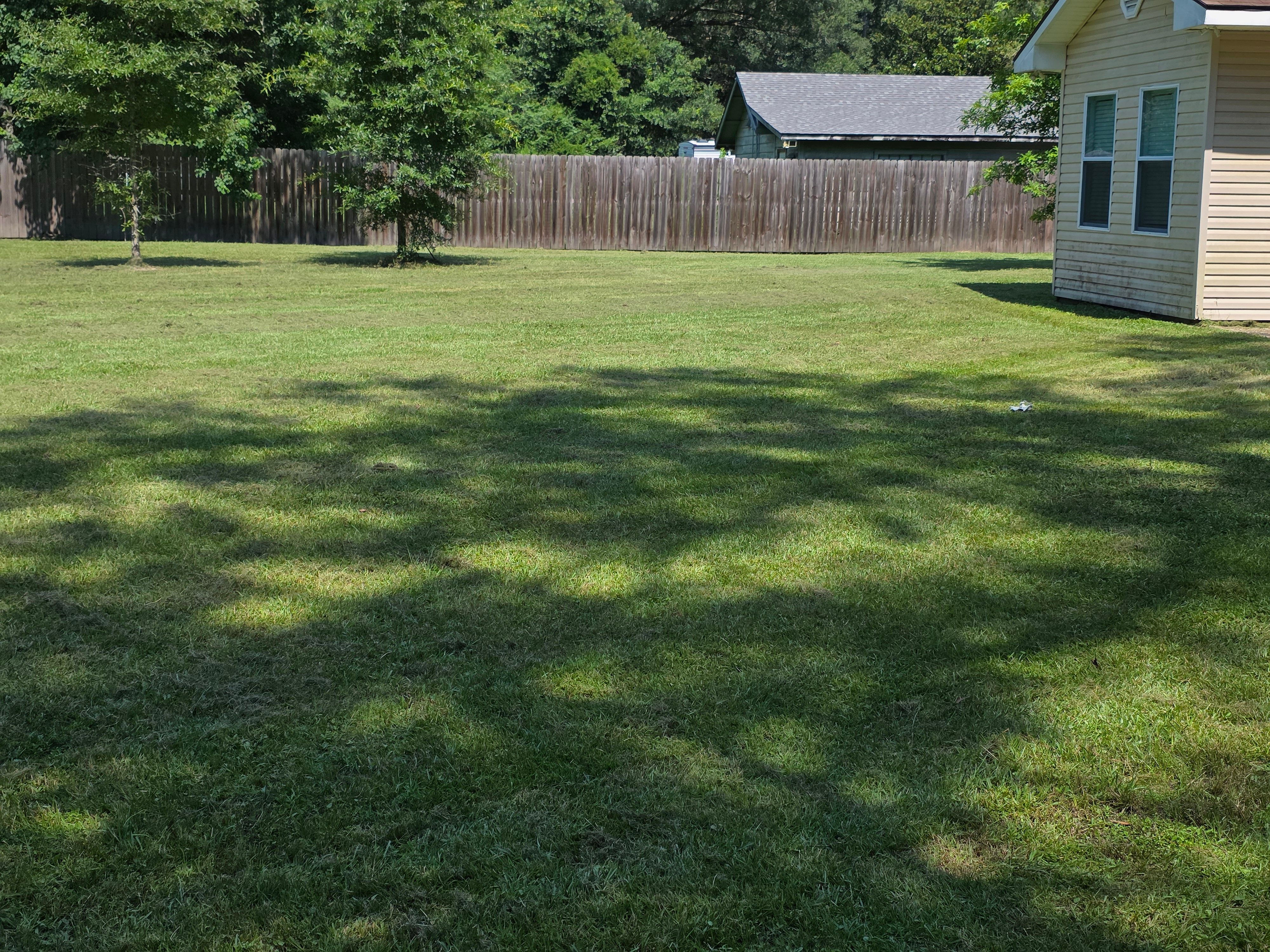  for Lawn Ranger Lawn Care & Maintenance in Hammond, LA
