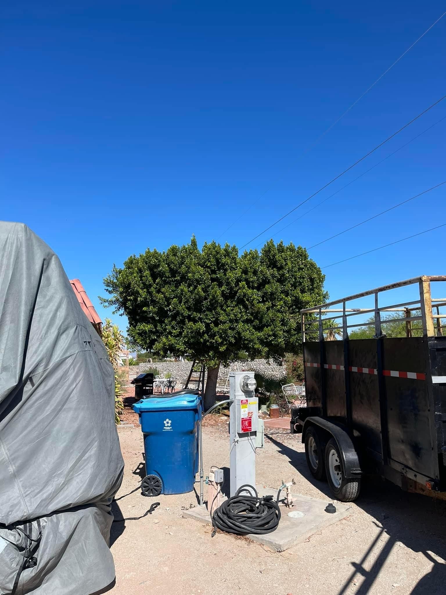  for Oliver L. Palm & Tree services in Yuma County, AZ