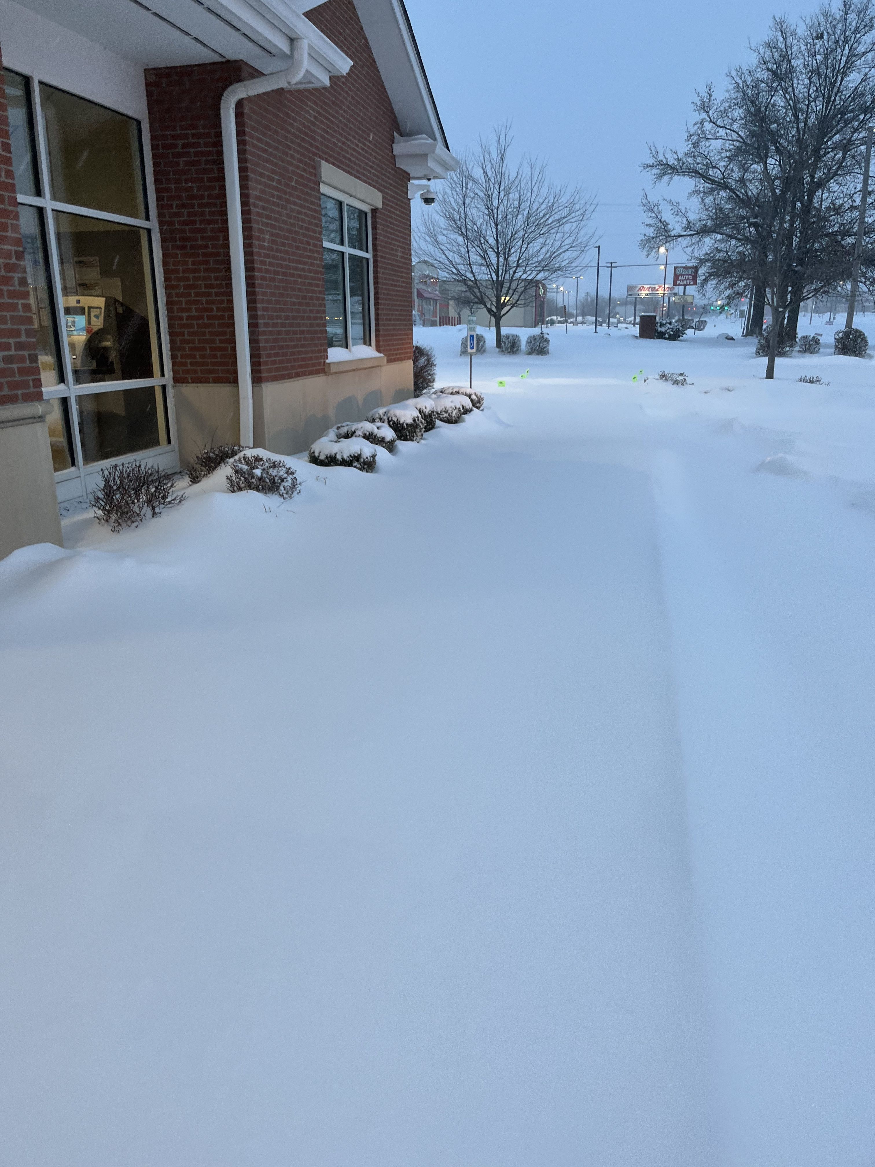  for Contemporary Landscape in St. Louis, MO