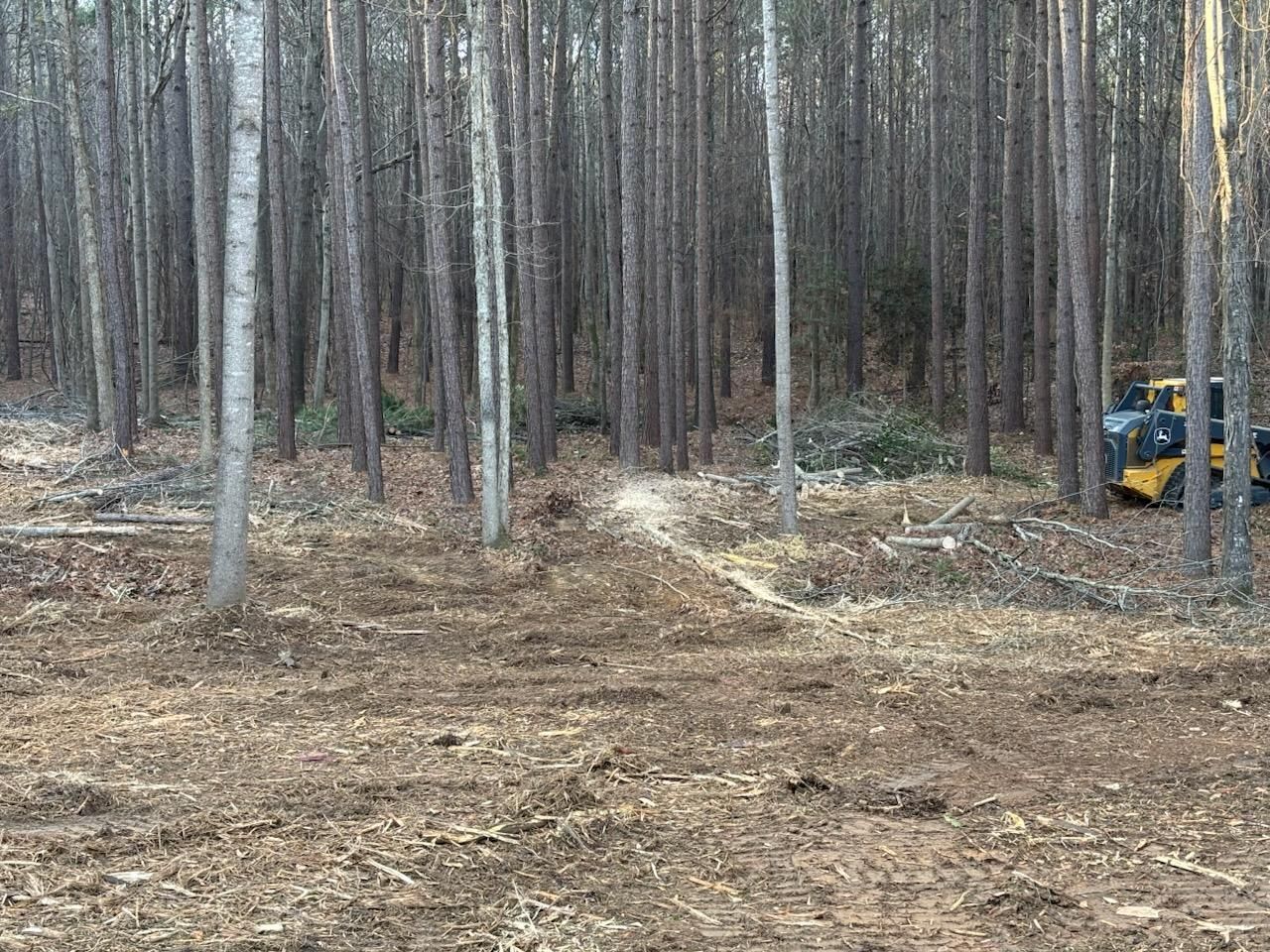  for Carolina Construction Services in Woodleaf, NC