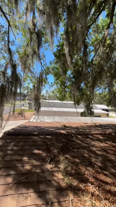 All Photos for A-1 Arbor Tech in Clermont, FL