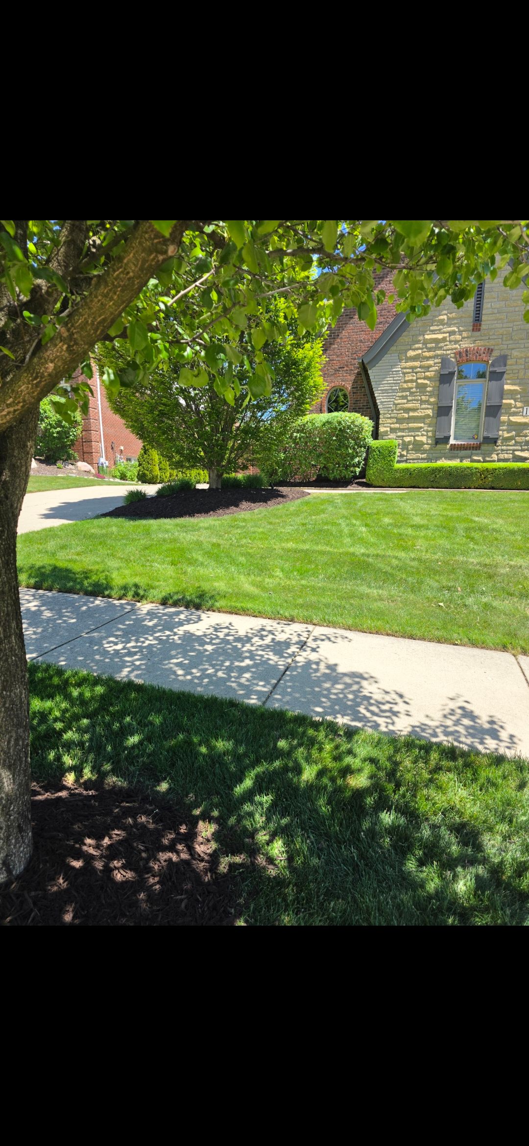 for Ivy Lawn and Landscaping in Oxford, MI