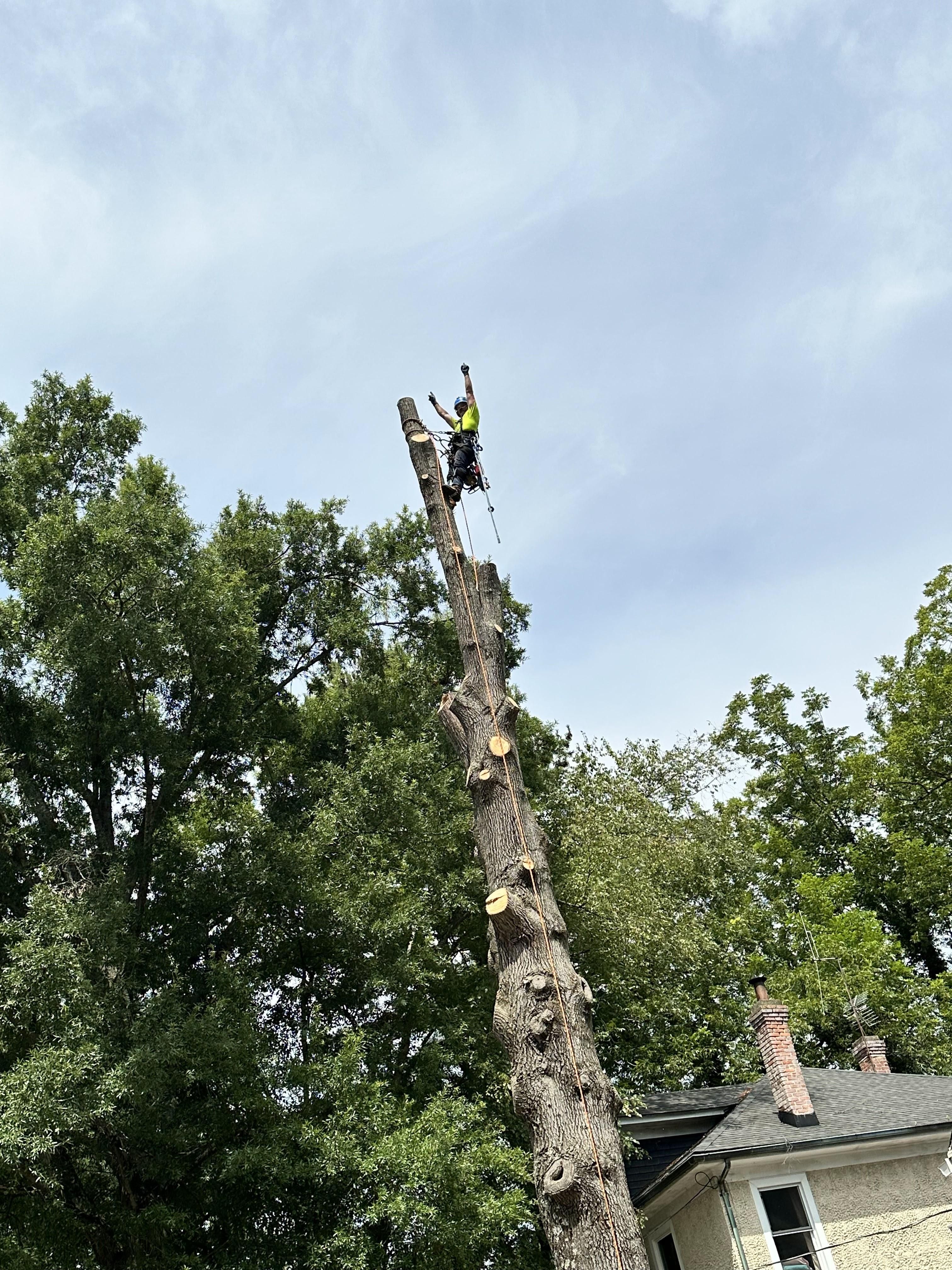  for Ascending Tree Service LLC in Kenbridge, VA