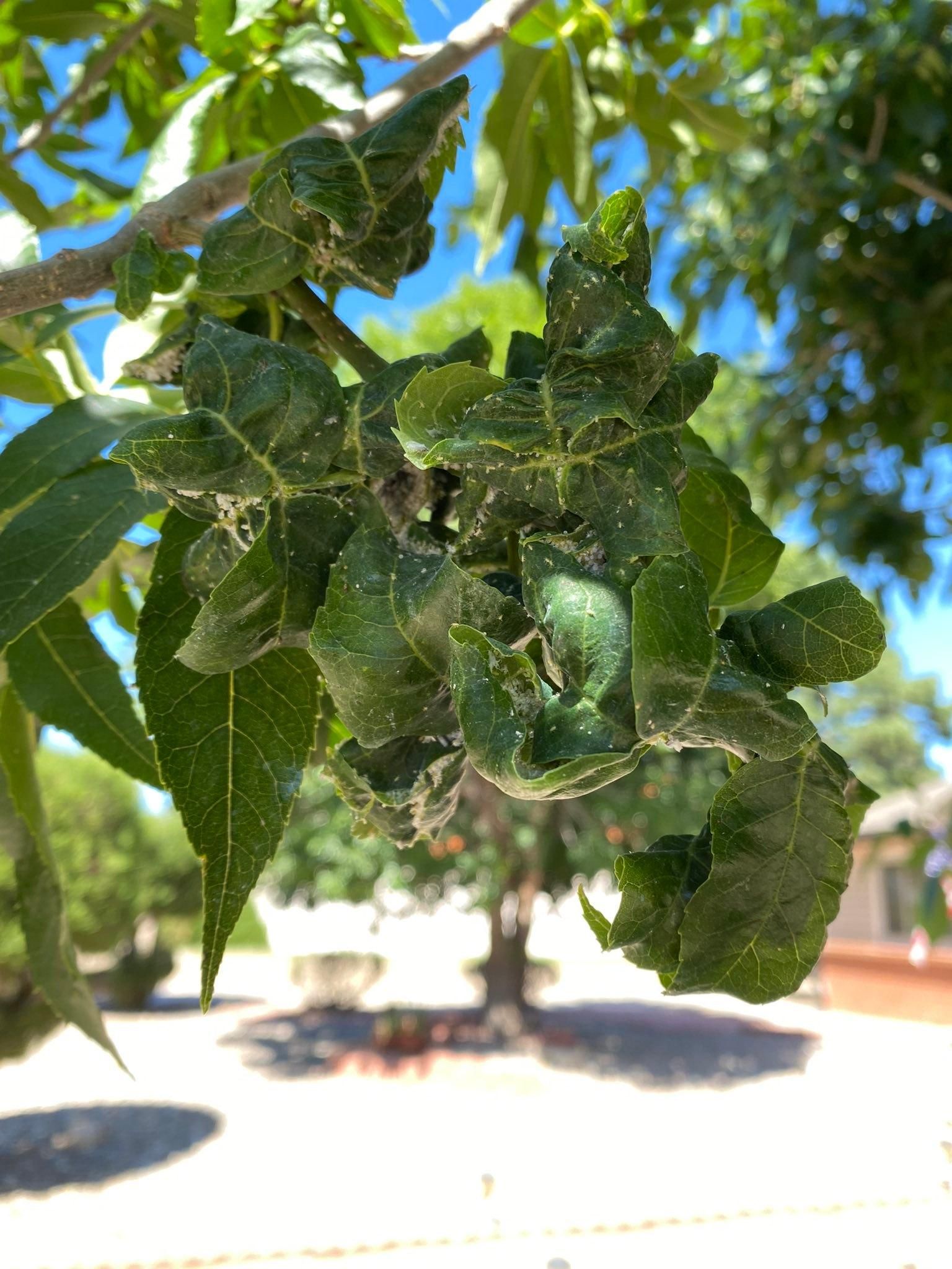 All Photos for Raton Property Maintenance in Raton, NM