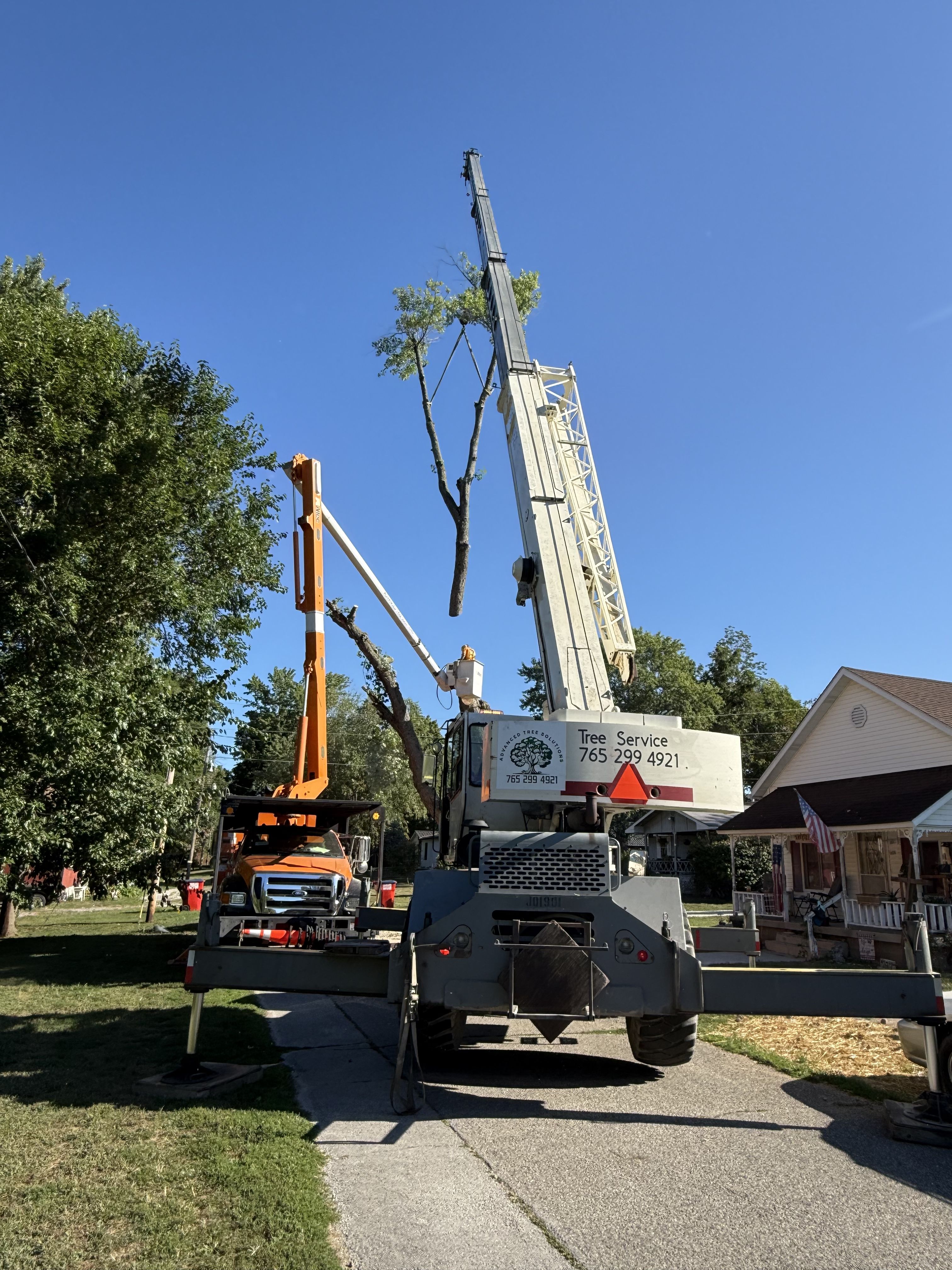  for Advanced Tree Solutions in Rockville, IN