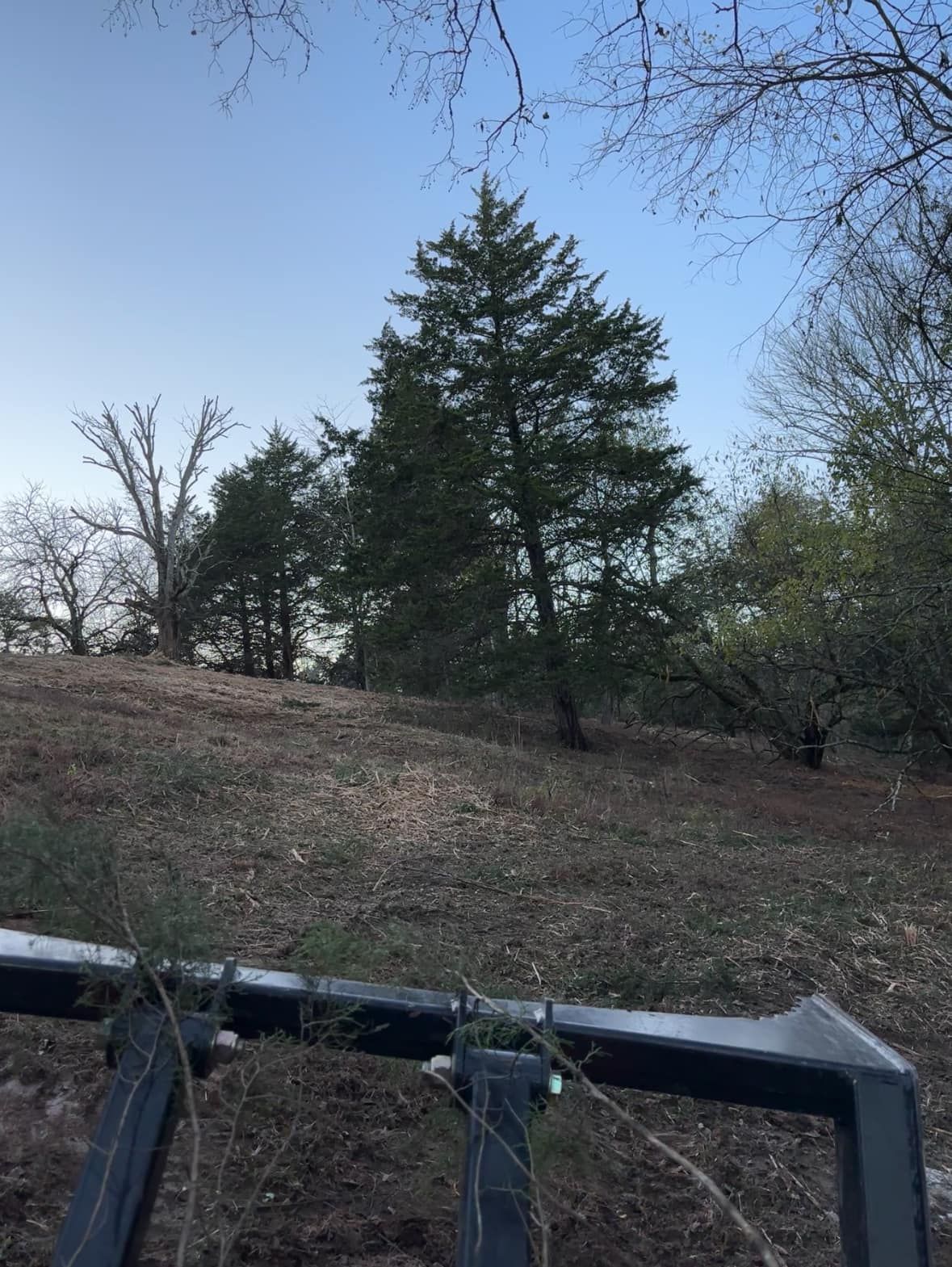  for Gregory Grass and Land in Lafayette, TN