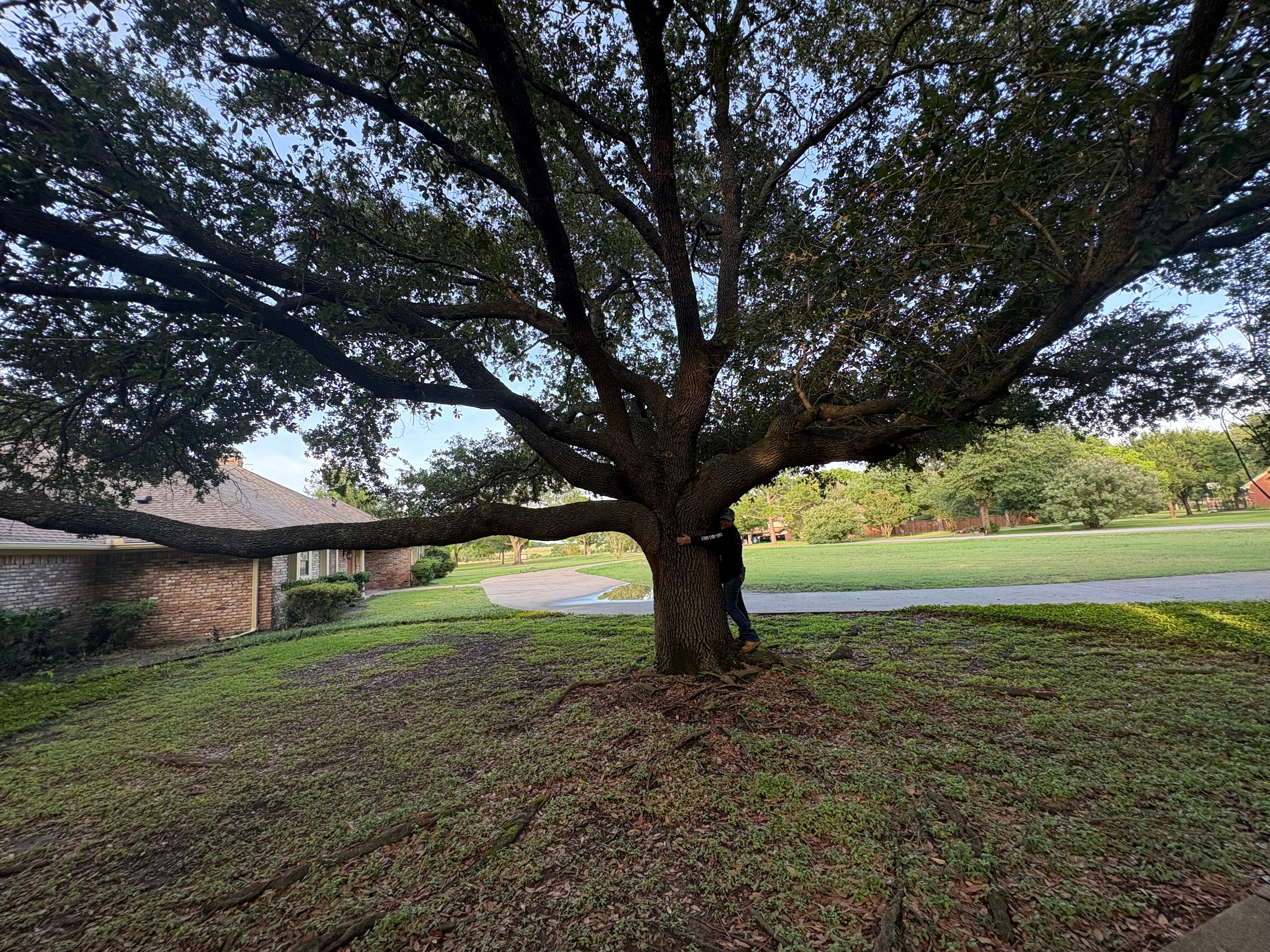  for Arbor Max Solutions in Gun Barrel City, TX