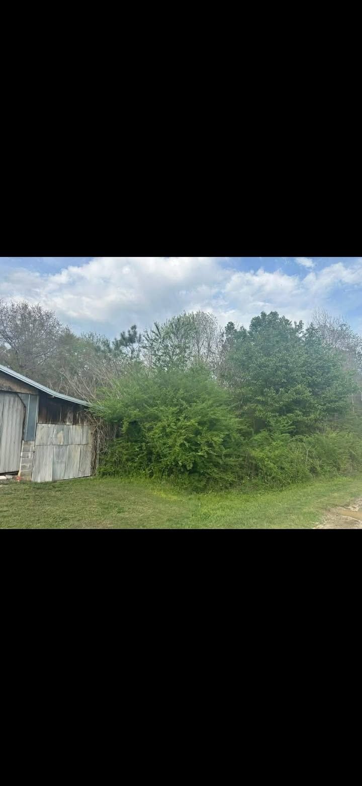  for Big C Land Management in Anniston, AL