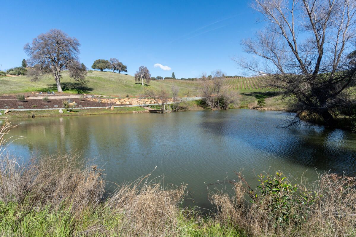  for Blue Water Landscape Services in El Dorado Hills, CA