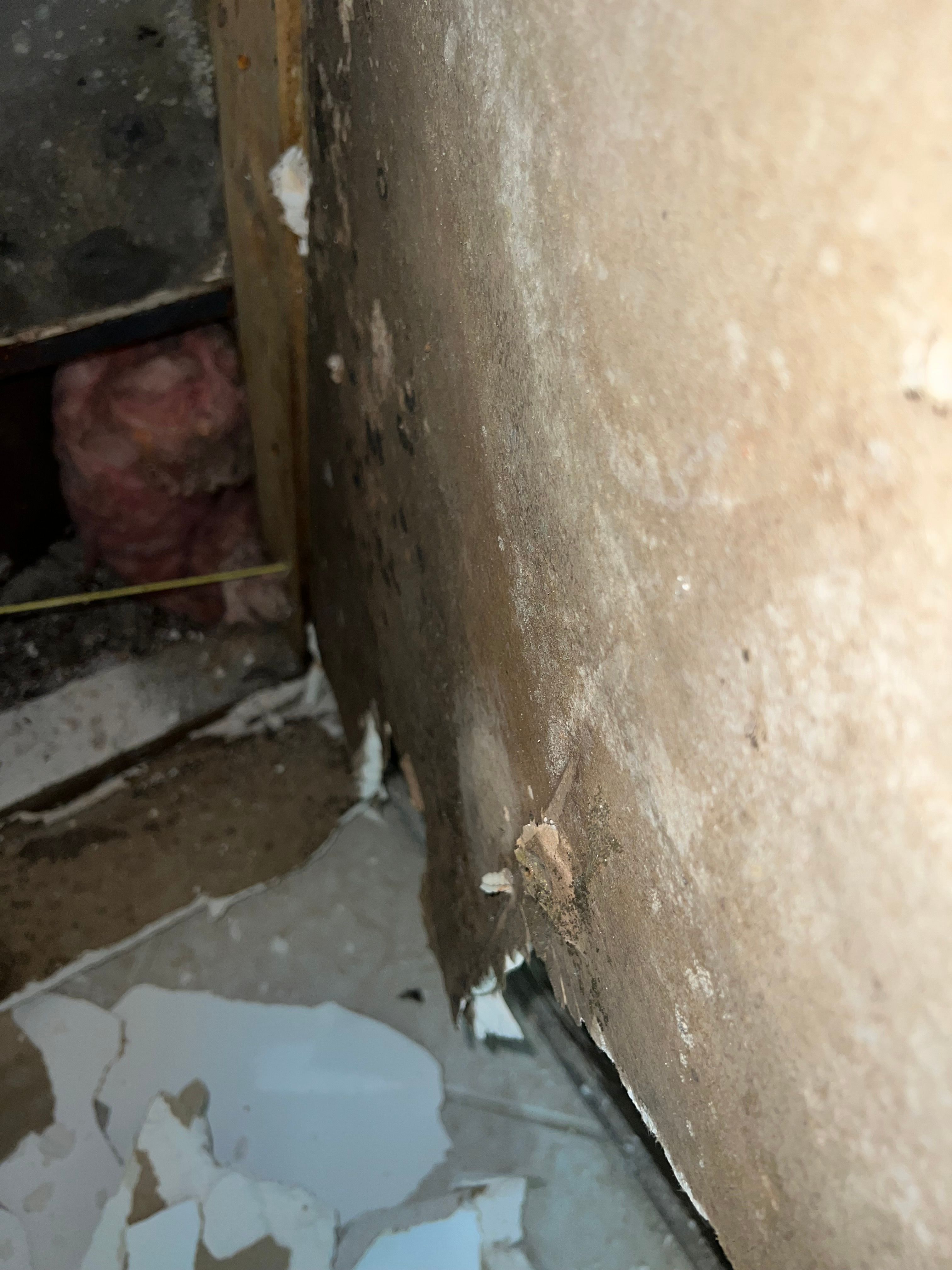  for N&D Restoration Services When Disaster Strikes, We Come In in Cape Coral,  FL