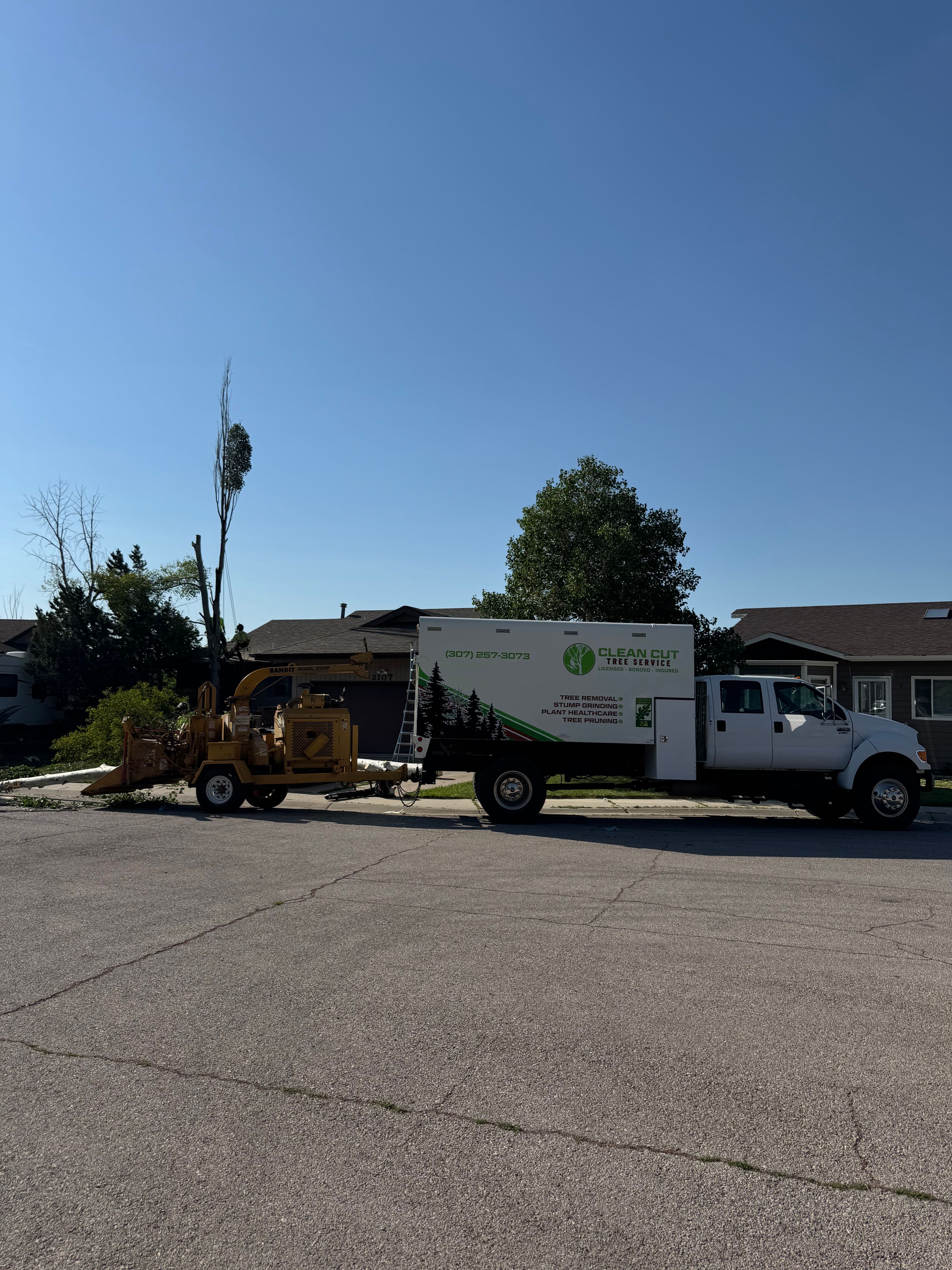  for Clean Cut Tree Service in Gillette, WY