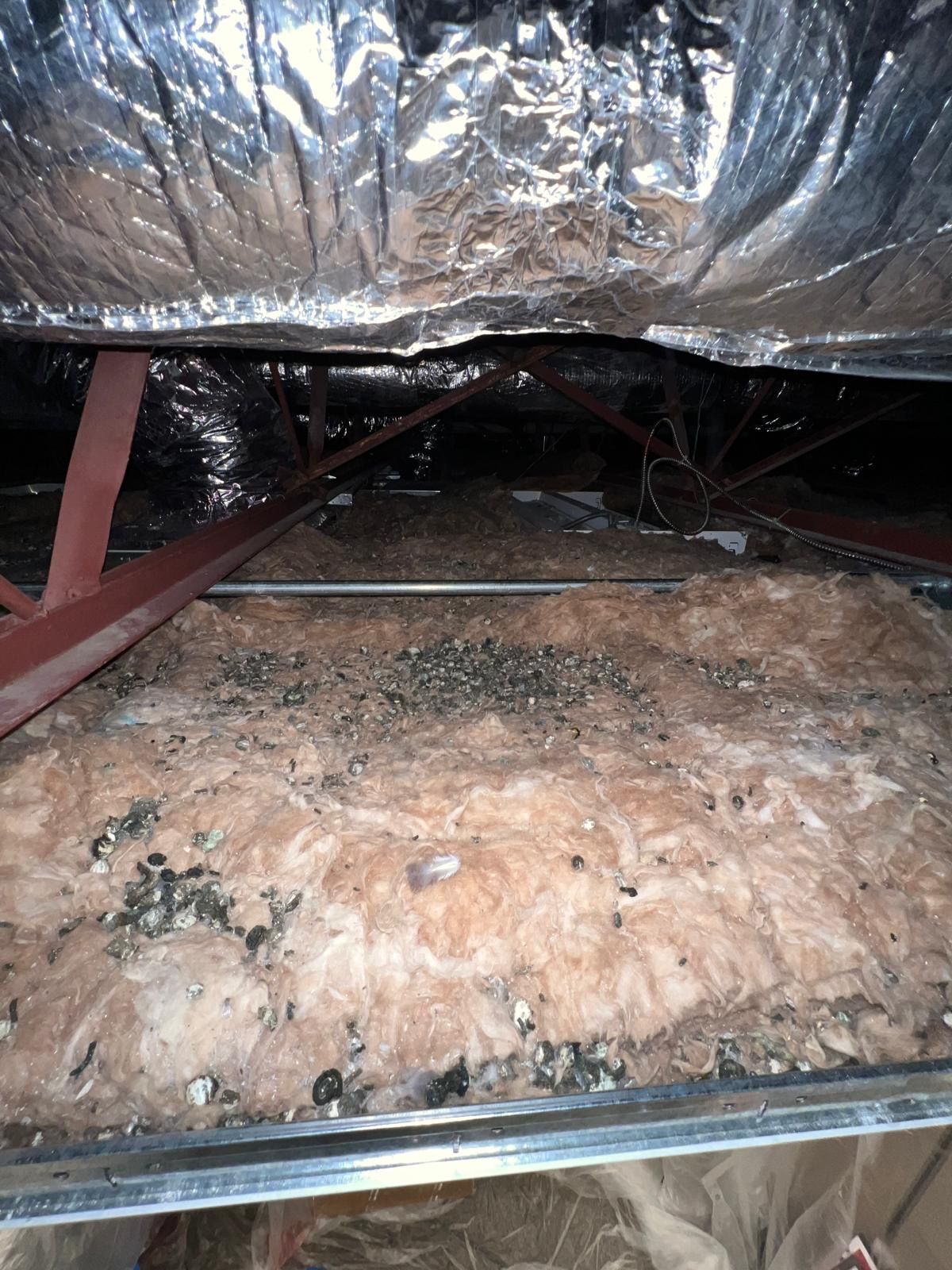  for N&D Restoration Services When Disaster Strikes, We Come In in Cape Coral,  FL