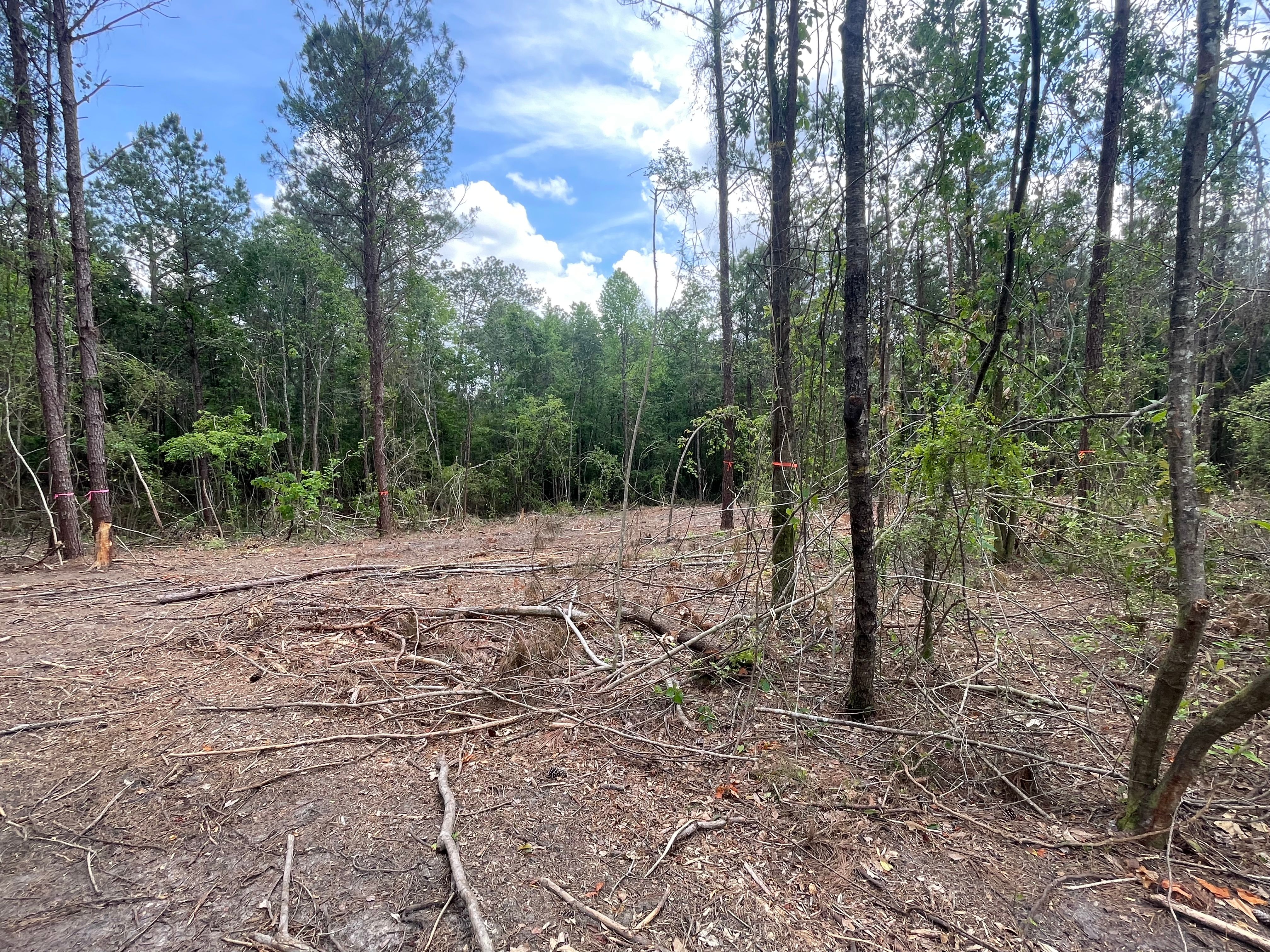  for Platinum Construction llc in Pearl River, MS