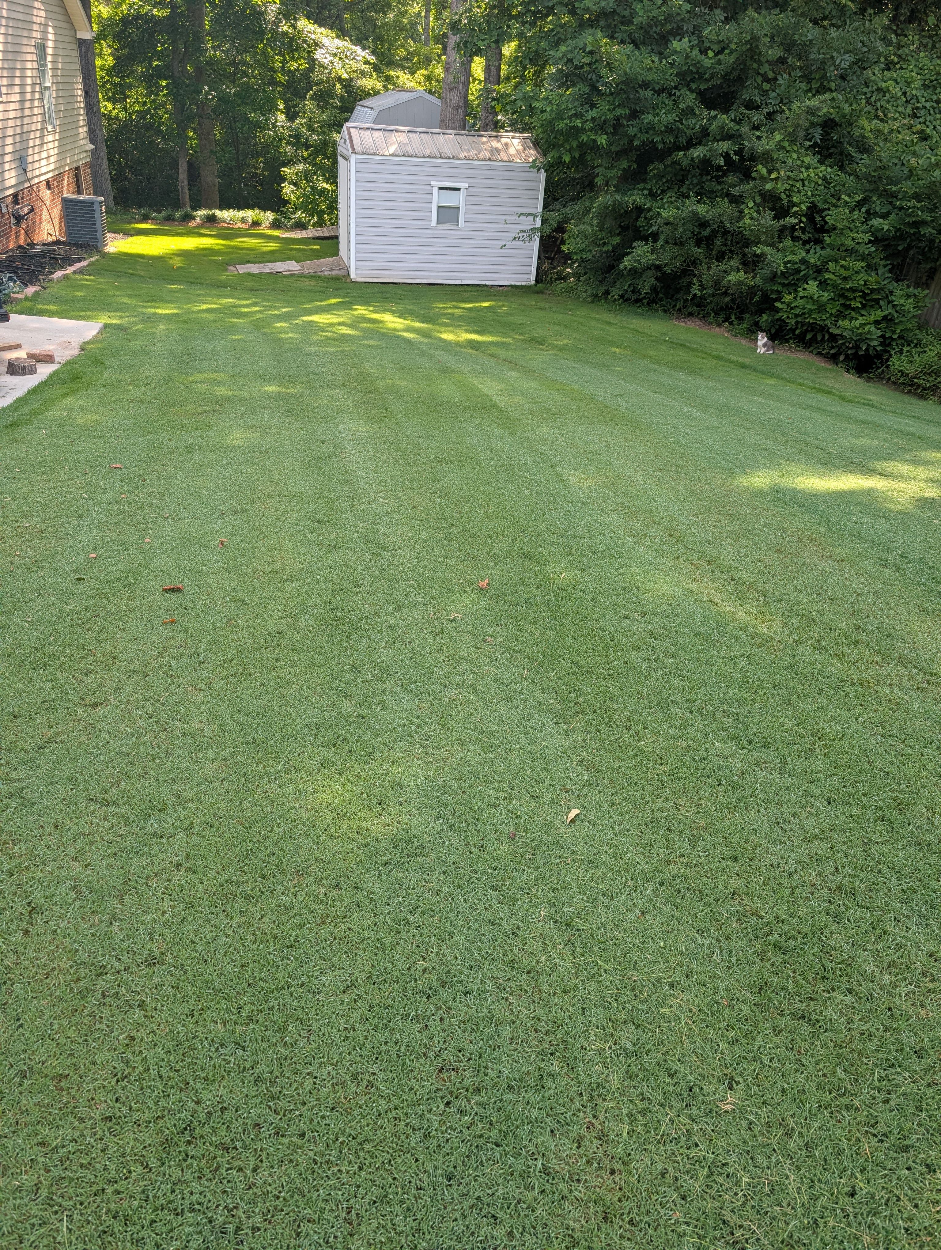  for Teacher Man Lawn Care in Easley, SC