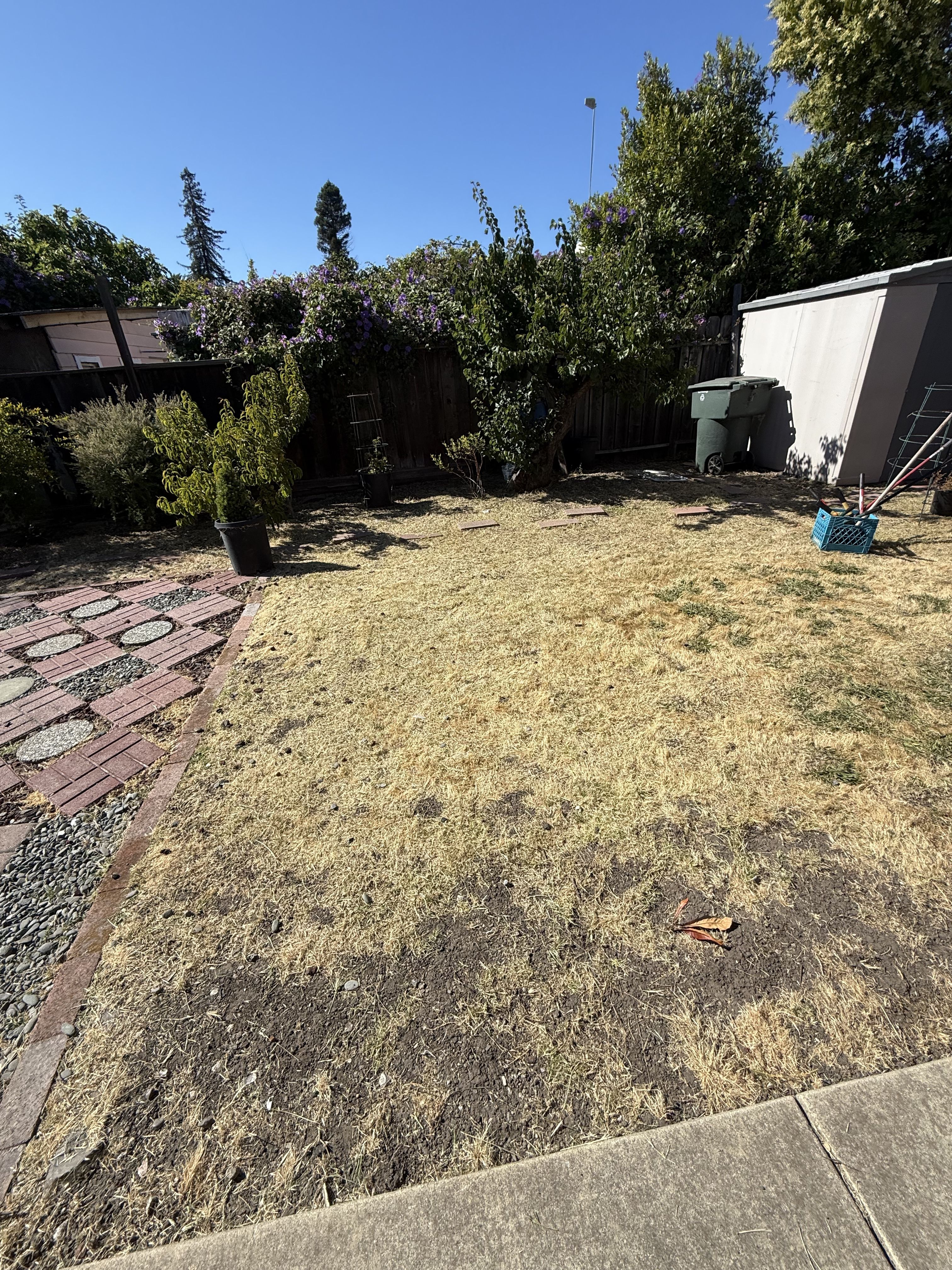  for CBA Landscaping in Hayward, CA