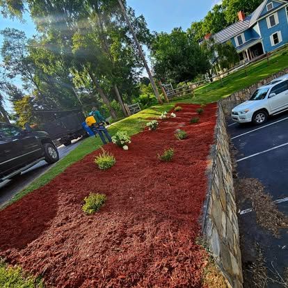  for Lopez Landscaping and Tree Service  in Waynesville, NC