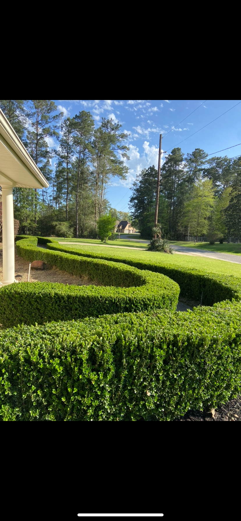  for Texas Vision Lawn & Landscape in Beaumont, TX