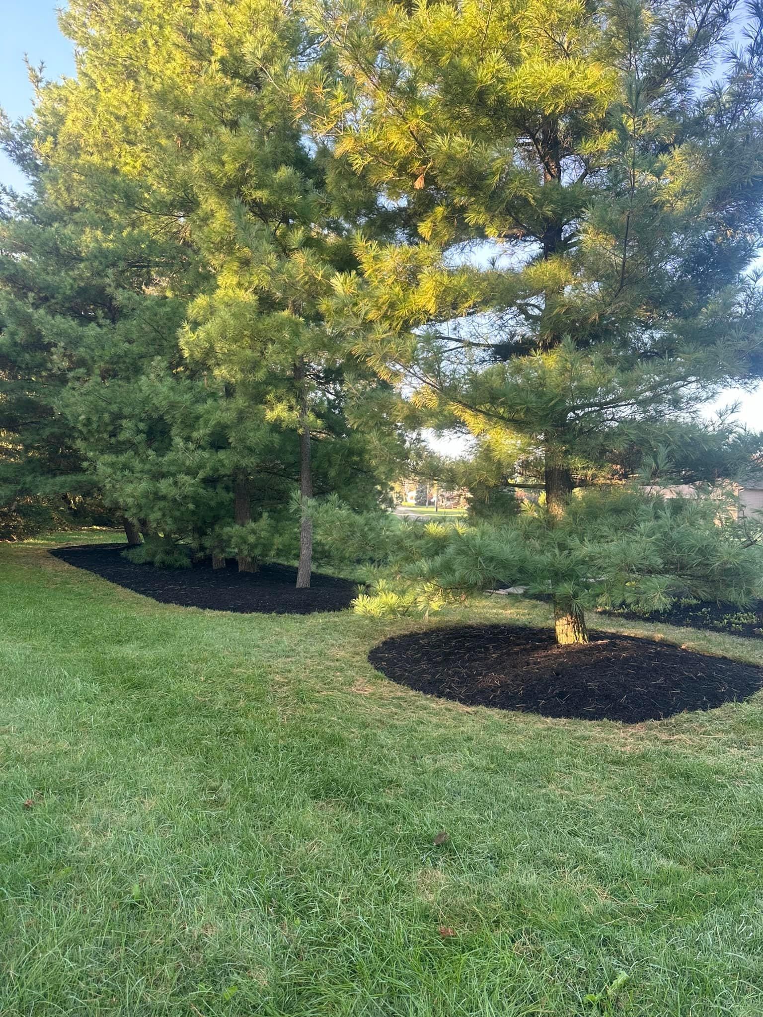  for OT Lawn and Landscaping LLC in Carey, OH