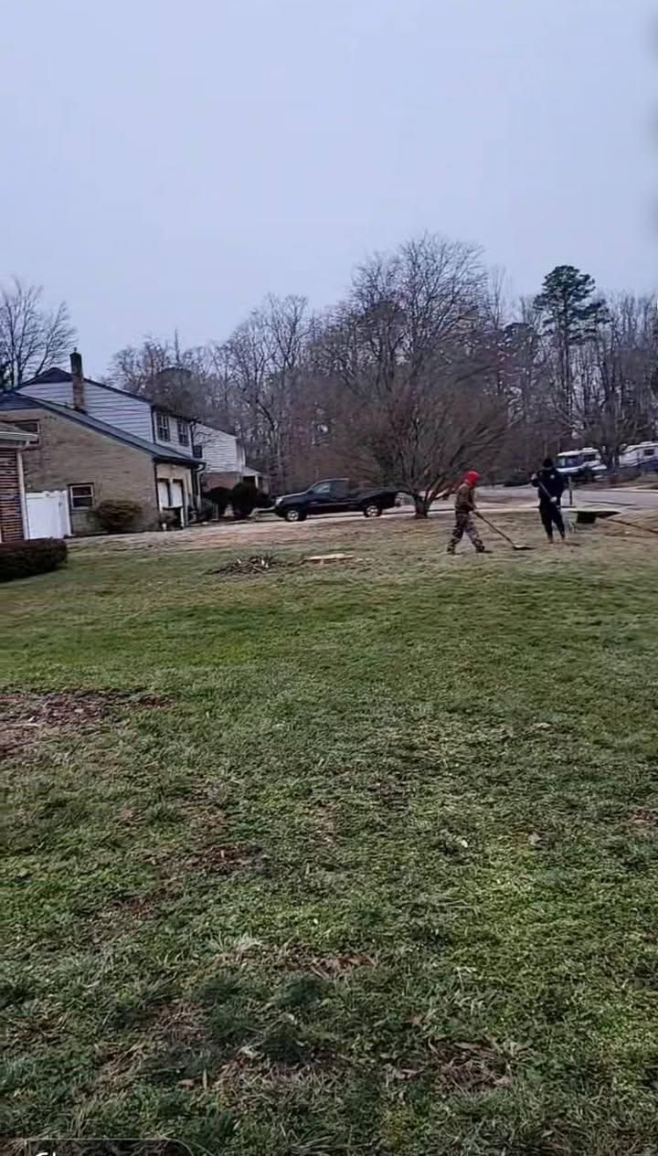  for Integrity Tree and Landscaping in Lynchburg, VA