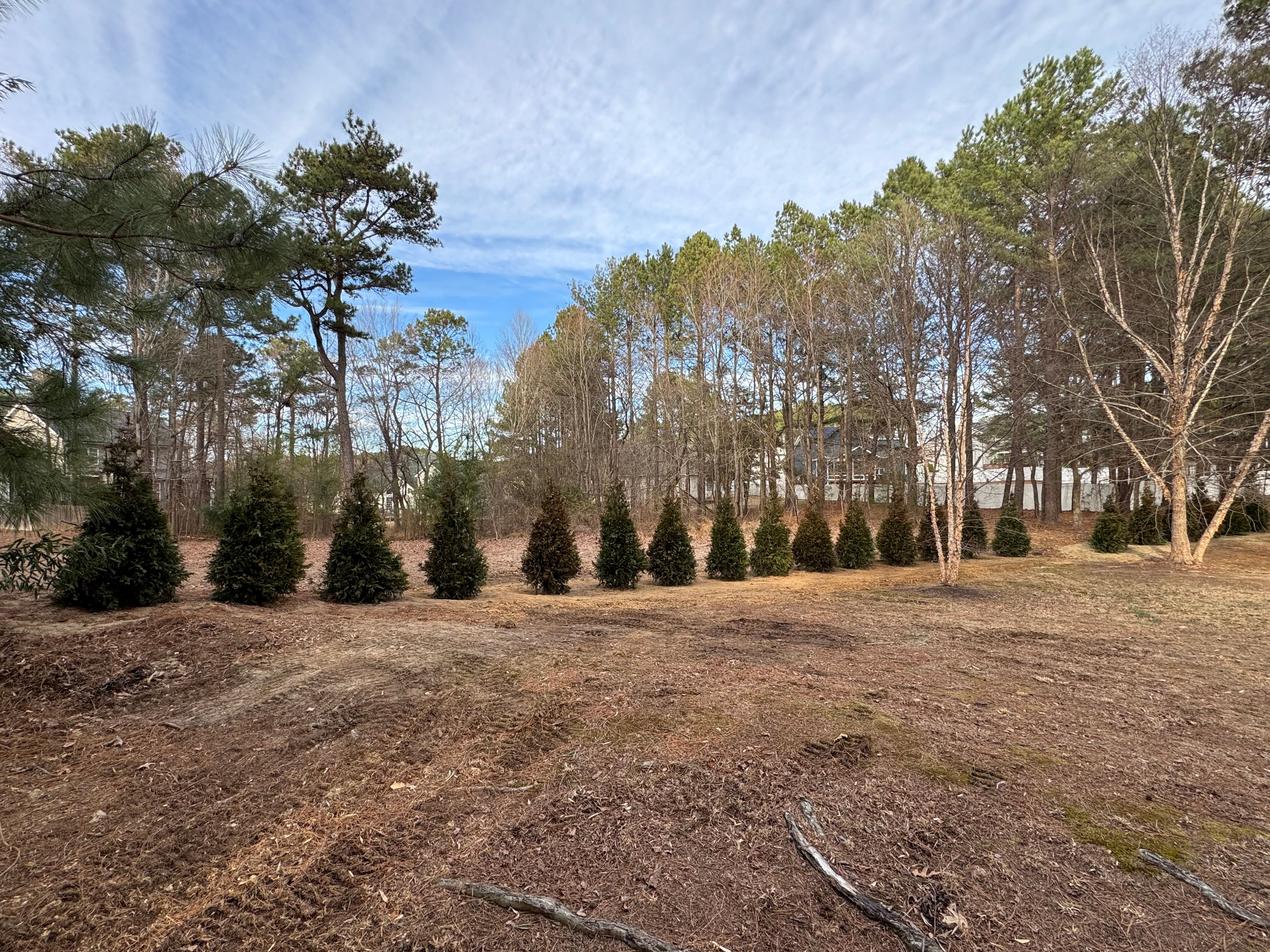  for Green Works Landscaping in Clayton, NC