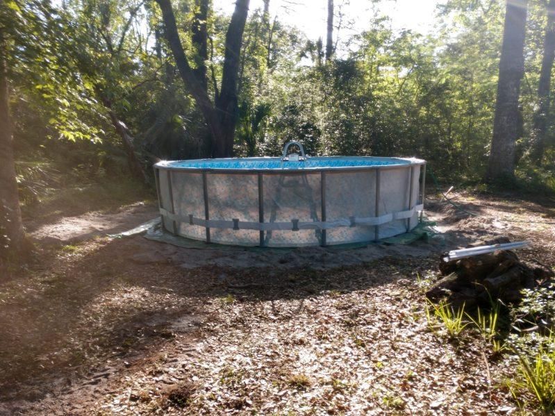  for Down & Dirty Pool Service in Crawfordville, FL