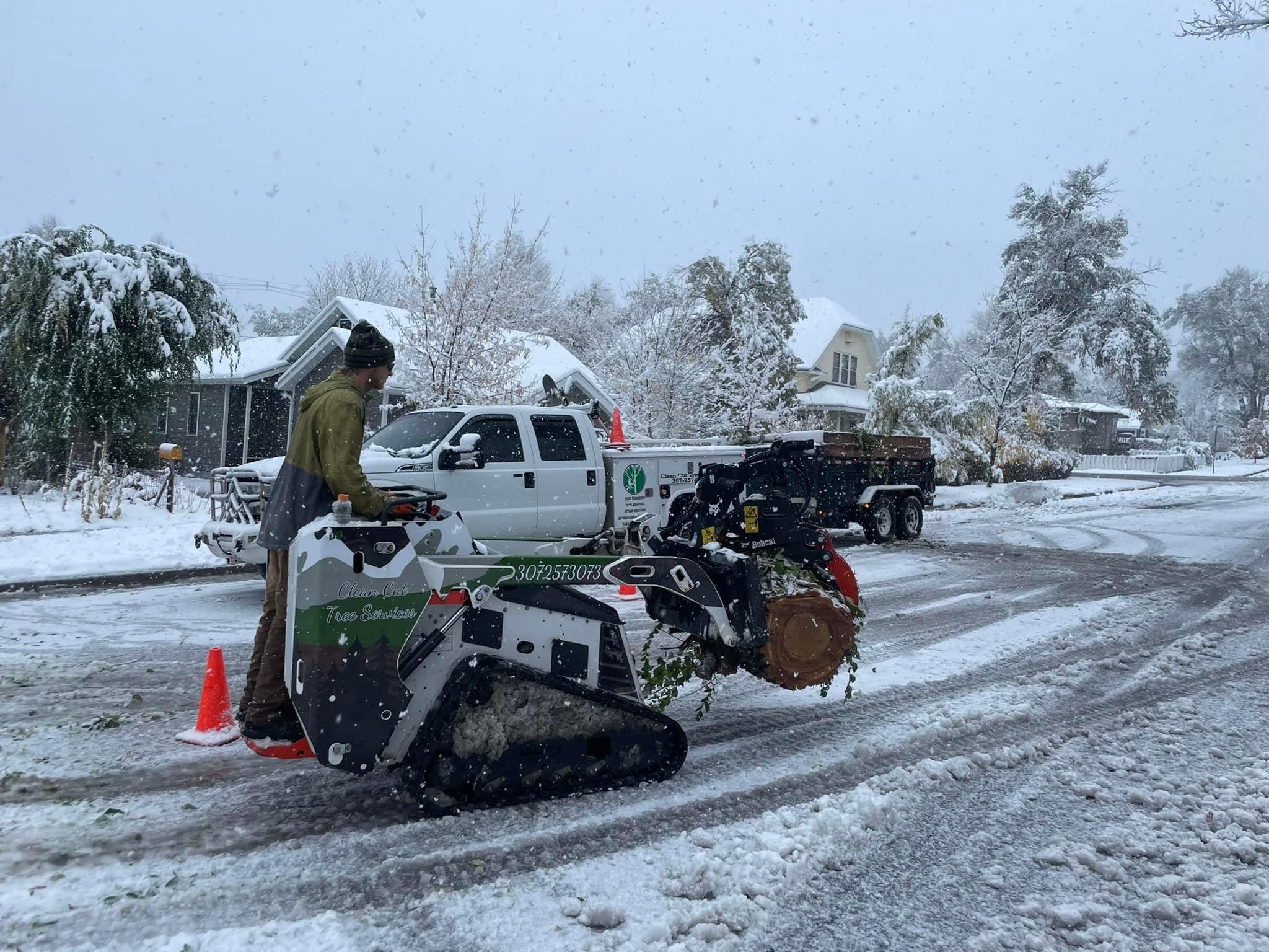  for Clean Cut Tree Service in Gillette, WY