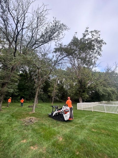 All Photos for Cross Family Tree Service in Kearney, MO