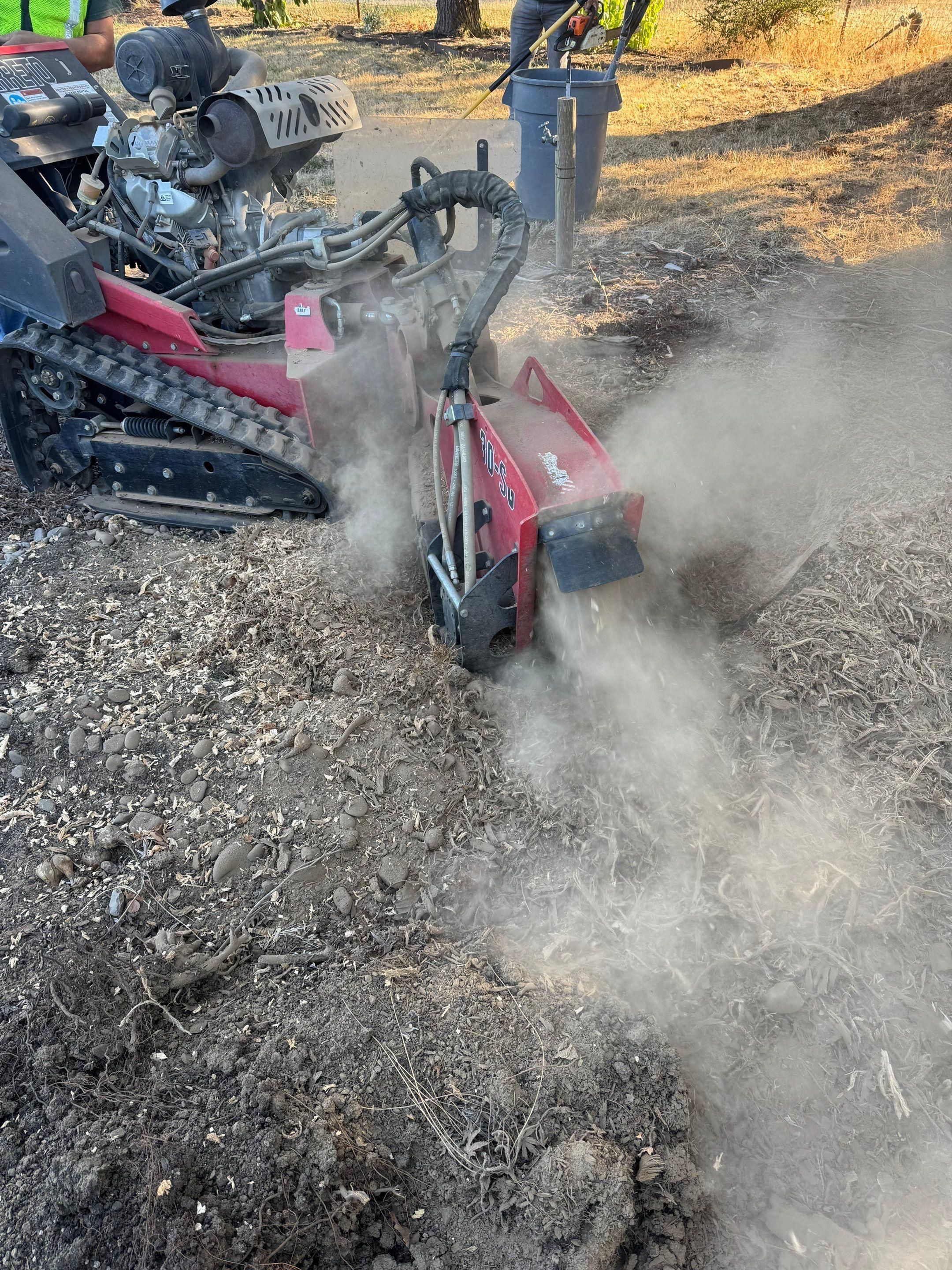  for Willamette Landscaping and Tree Services in Albany, OR