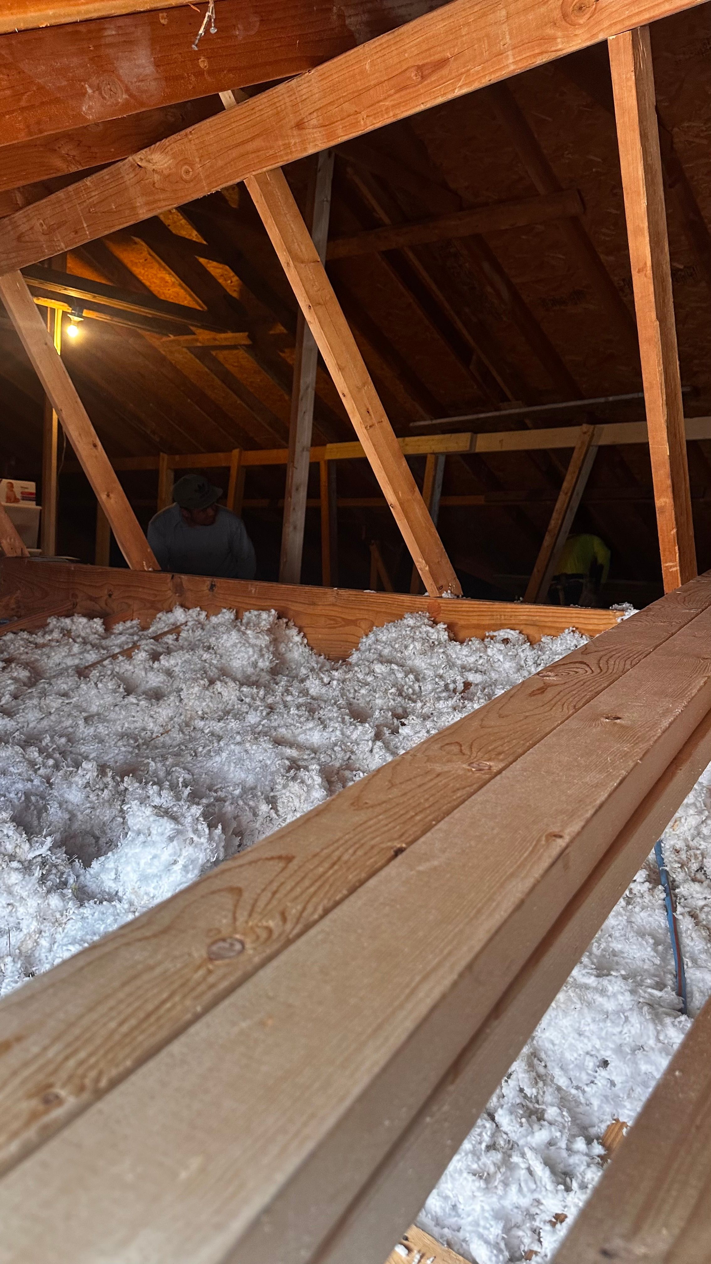  for Piney Woods Renovations in Tyler , TX