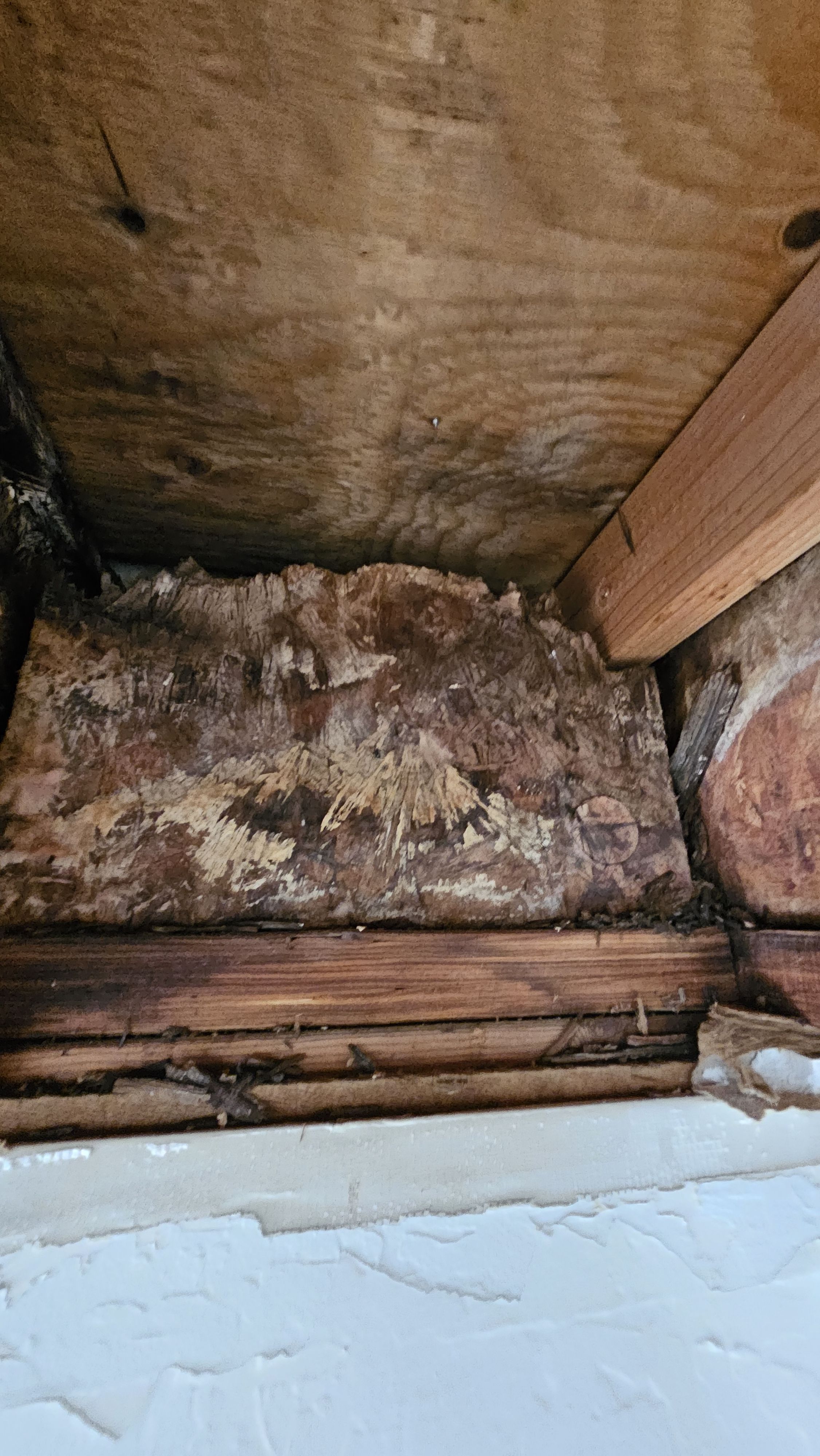  for Napa Valley Preventative Maintenance in Calistoga, CA