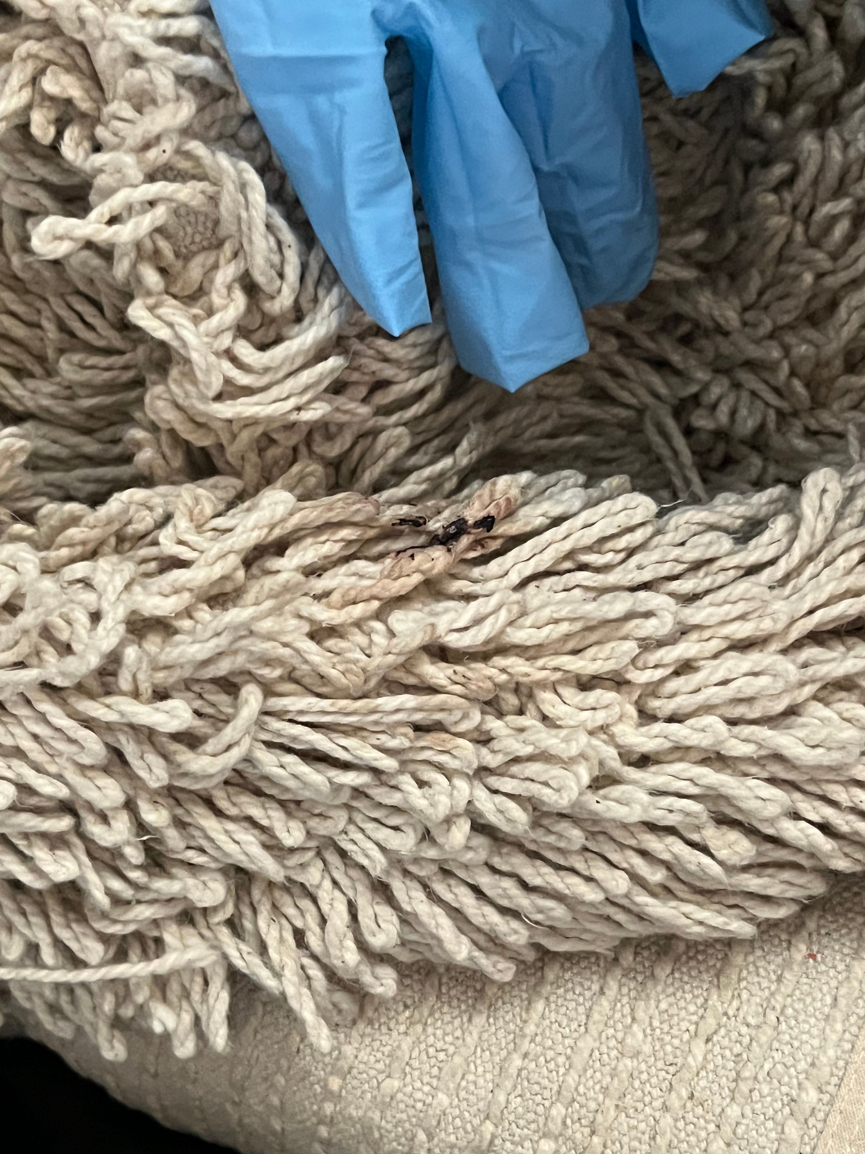  for N&D Restoration Services When Disaster Strikes, We Come In in Cape Coral,  FL