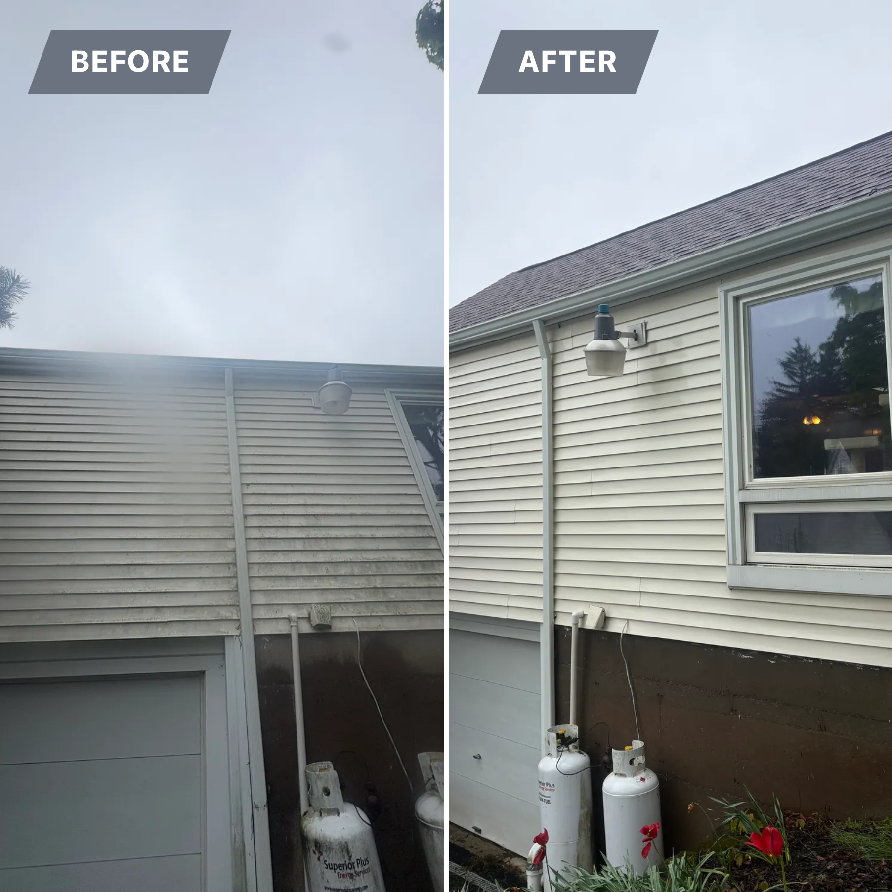  for Apex Windows in Brockport, NY