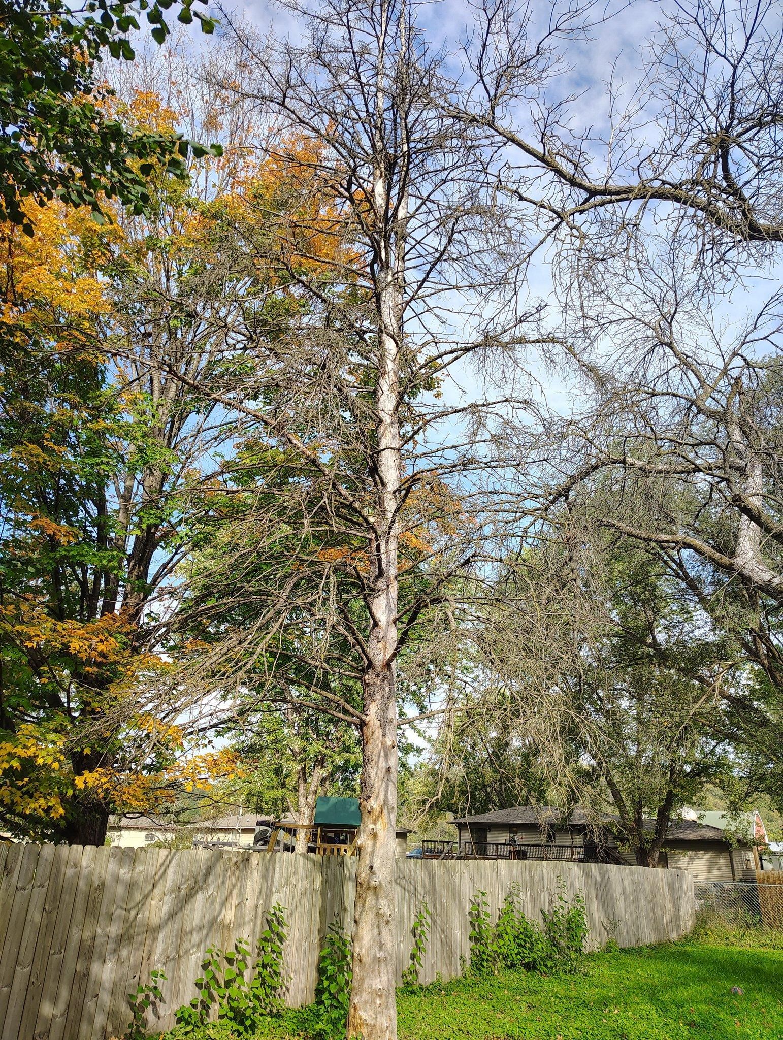All Photos for Big River lawn Care services and snow LLC in Wausau, WI