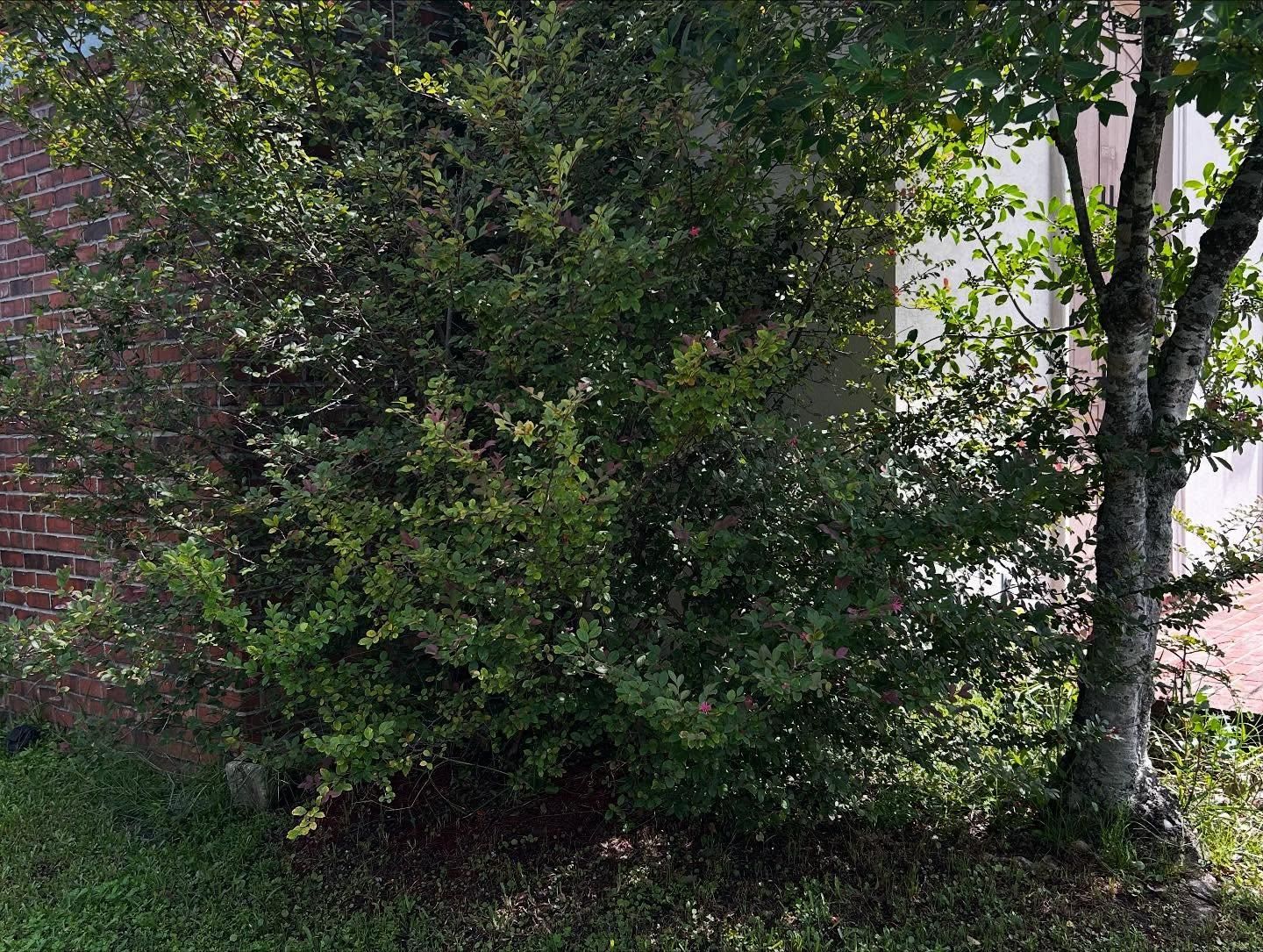  for Jay C’s Touch Landscaping & Pressure Washing Services LLC in Marrero, LA