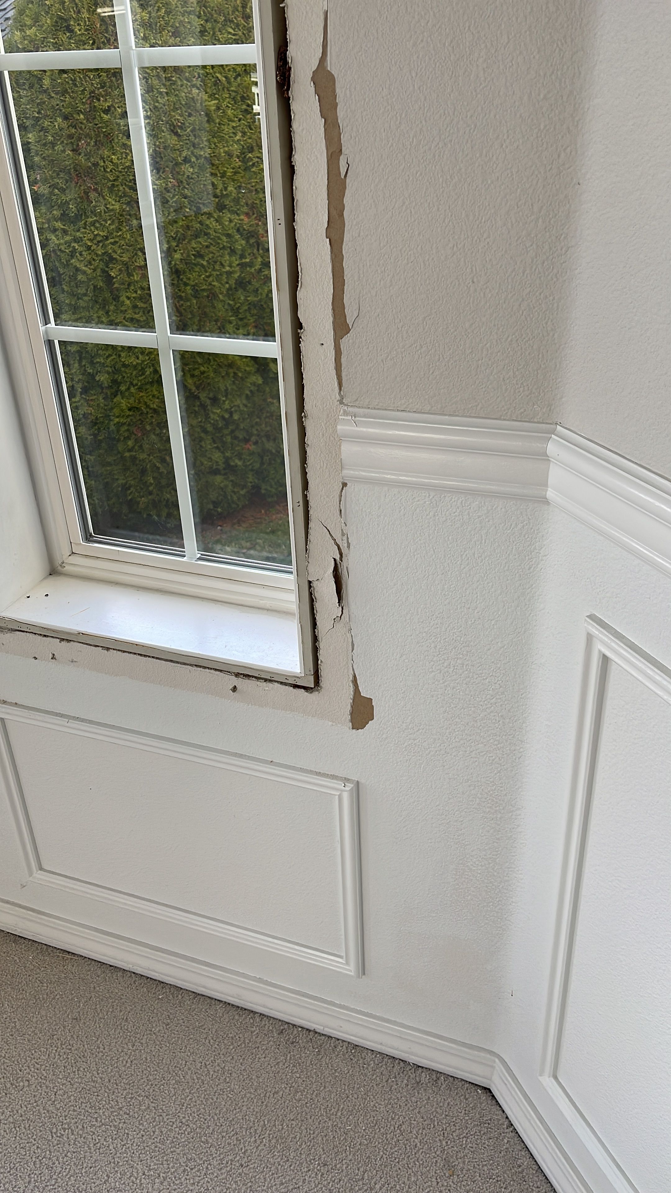  for Tony's Remodeling & Painting in Renton, WA